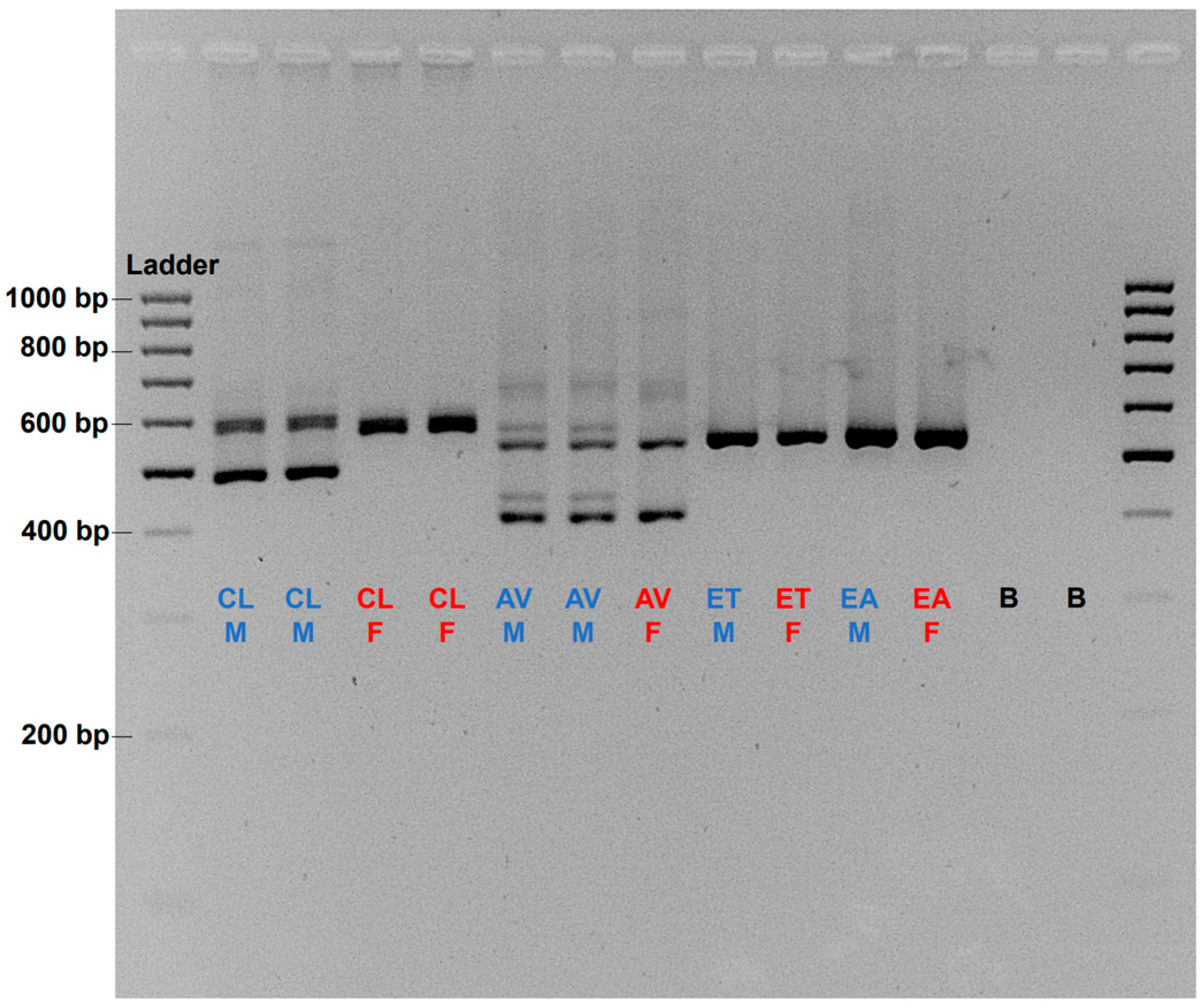 Fishes 08 00327 g002