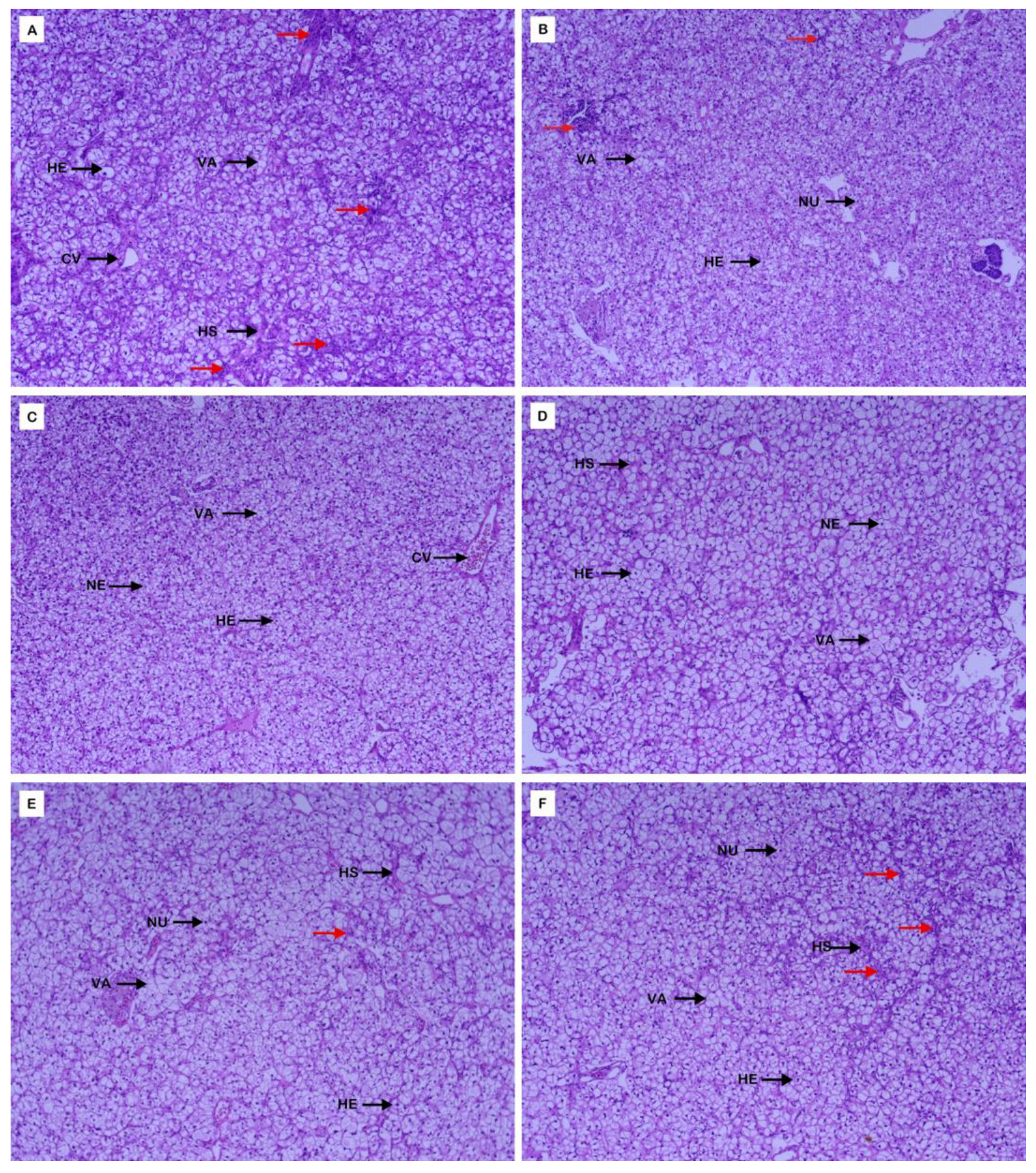 Fishes 08 00329 g005