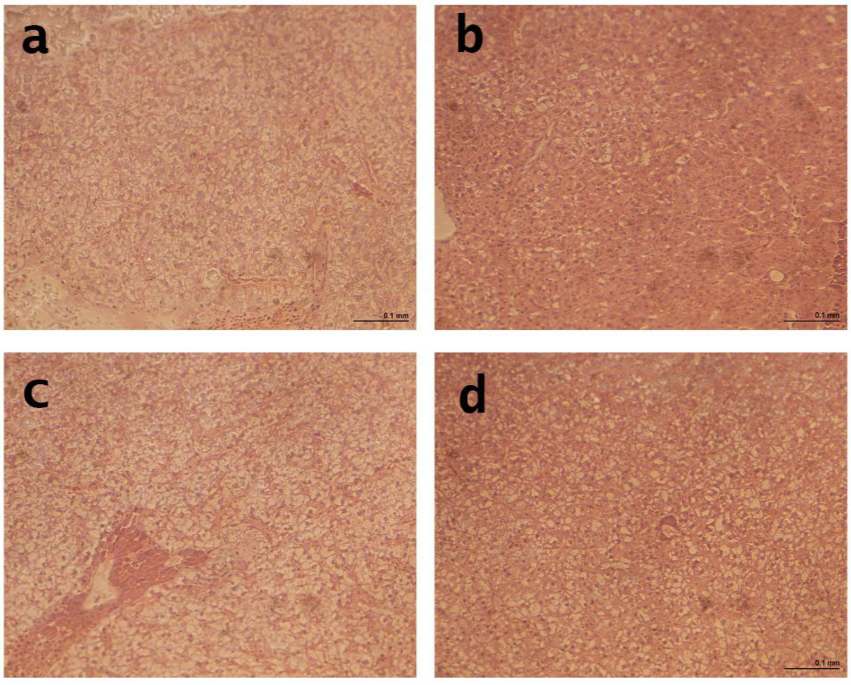 Fishes 08 00330 g003