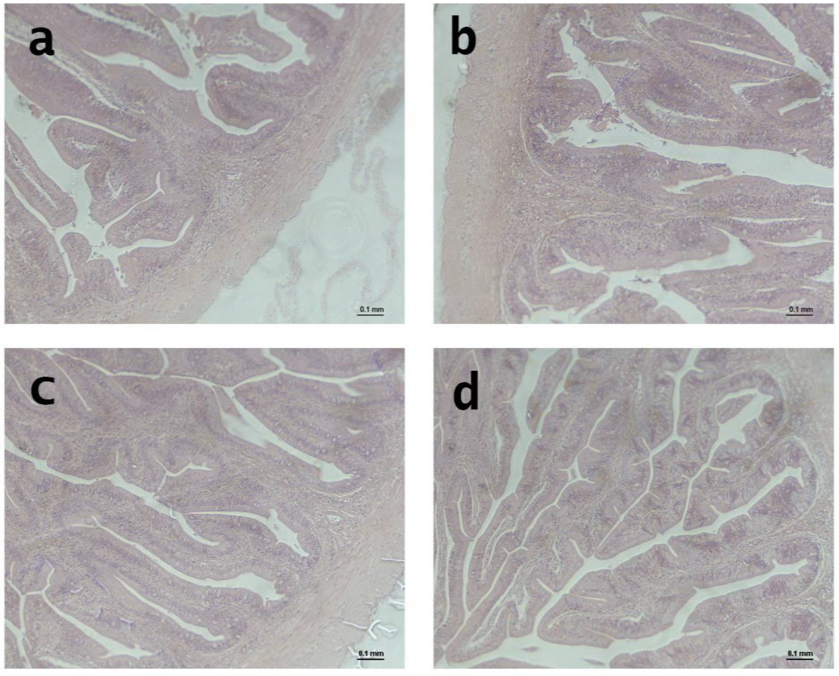 Fishes 08 00330 g004