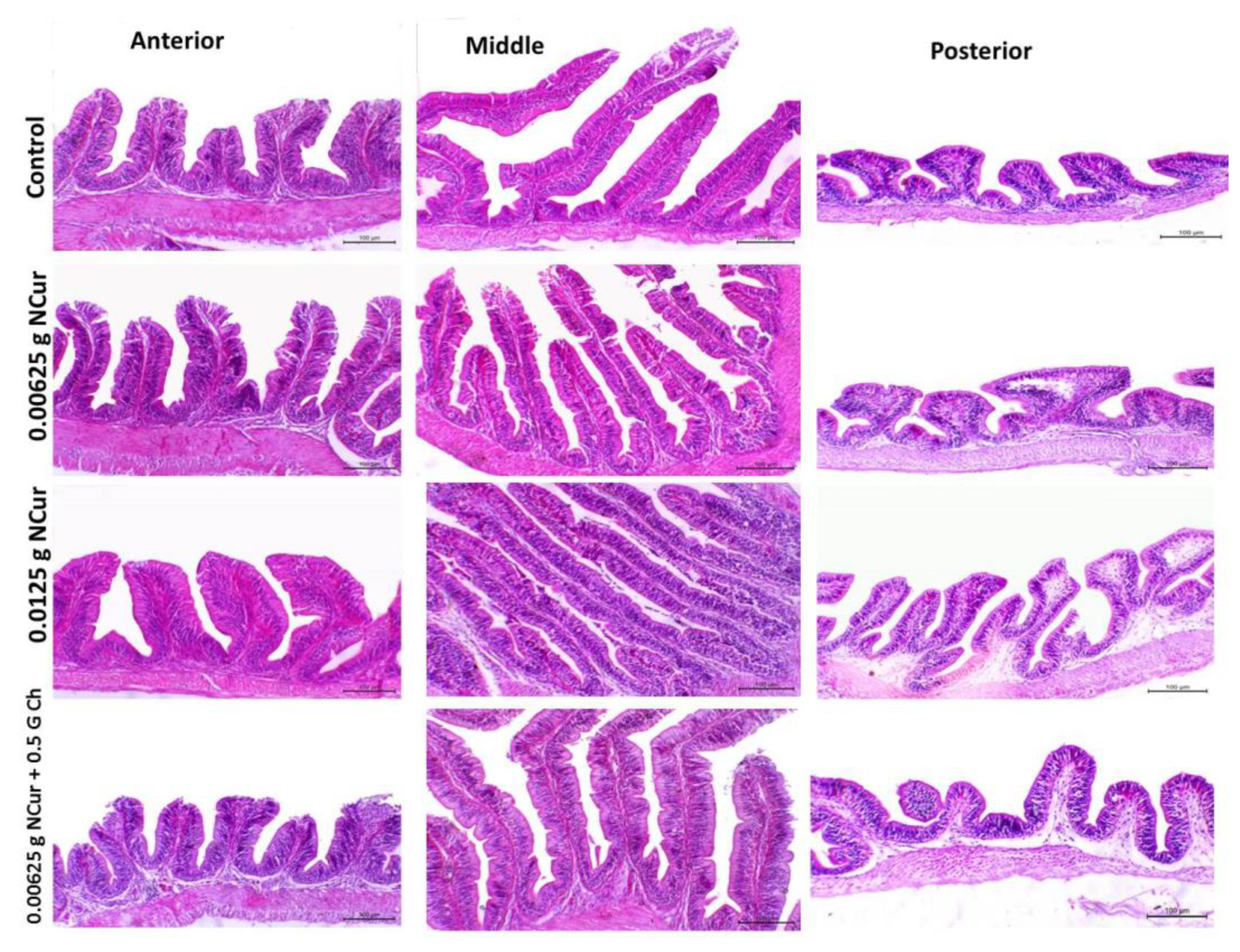 Fishes 08 00333 sch002