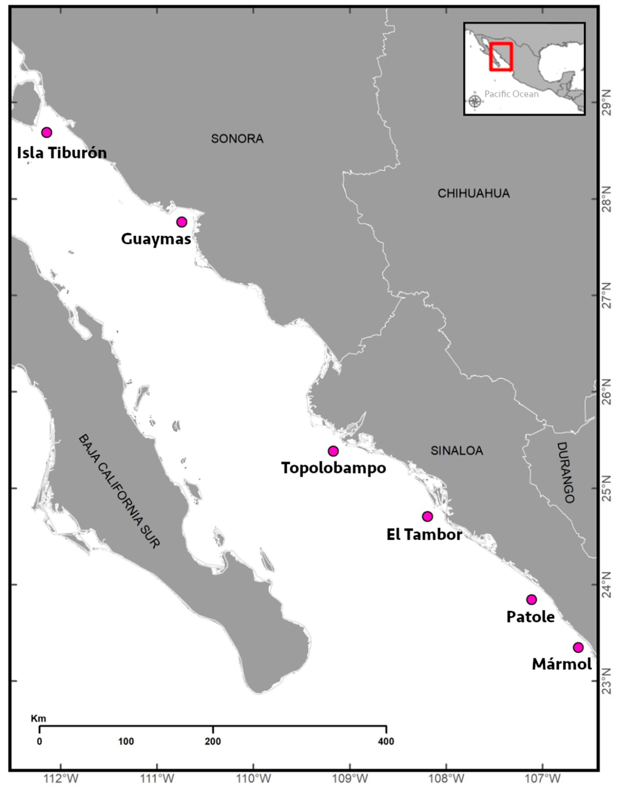 Fishes 08 00336 g001