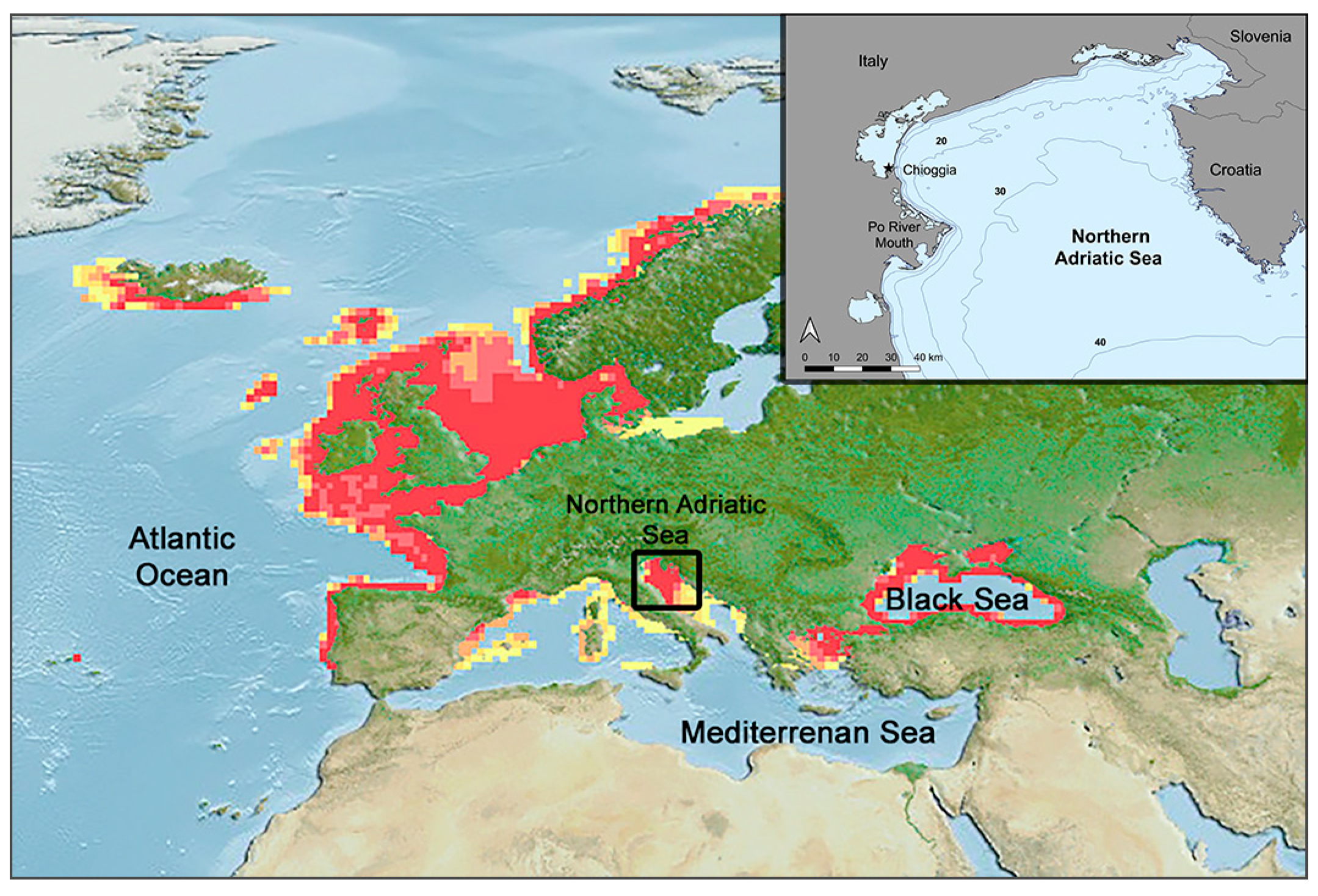 Fishes 08 00341 g001 Fishes 08 00341 g001