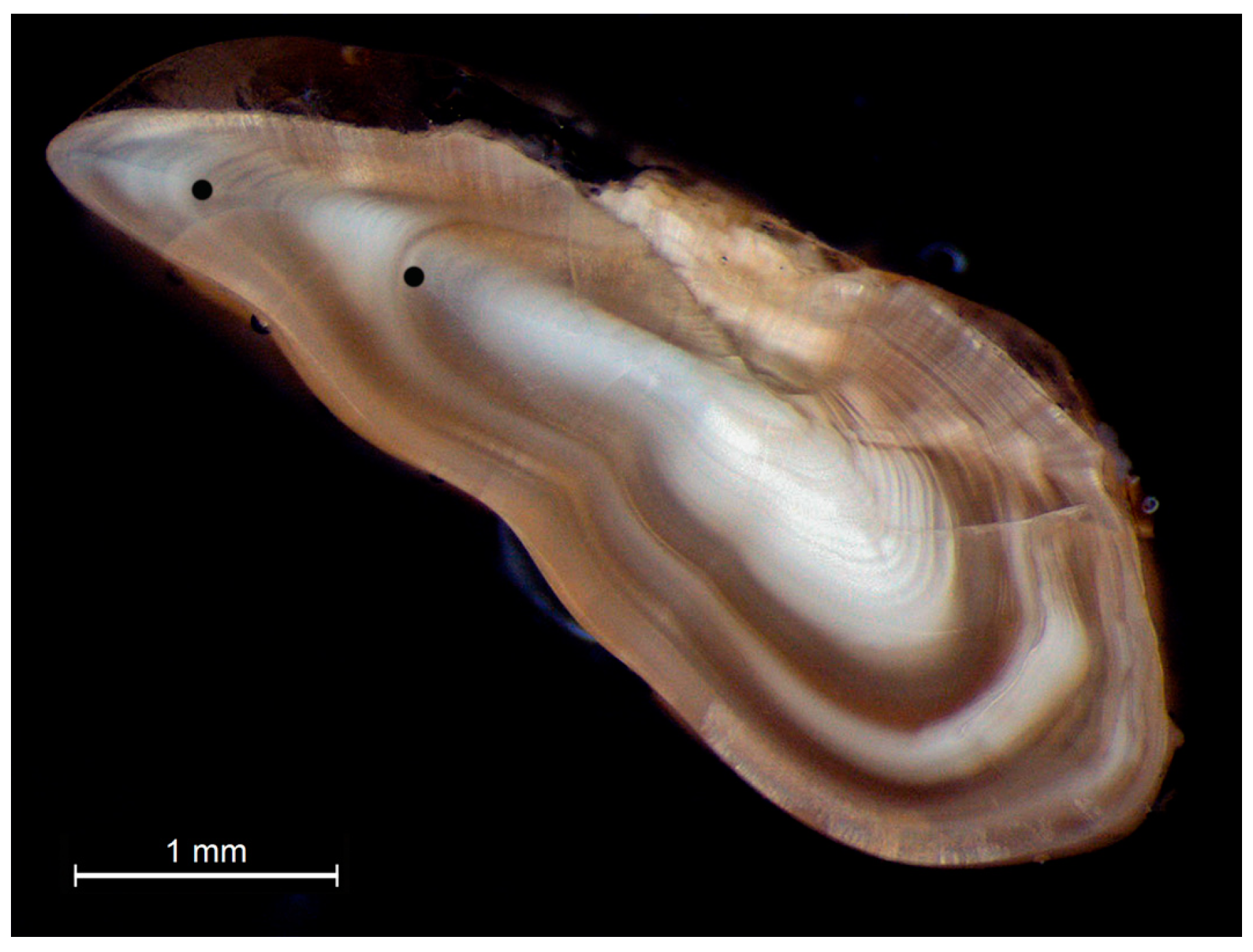 Fishes 08 00341 g005 Fishes 08 00341 g005