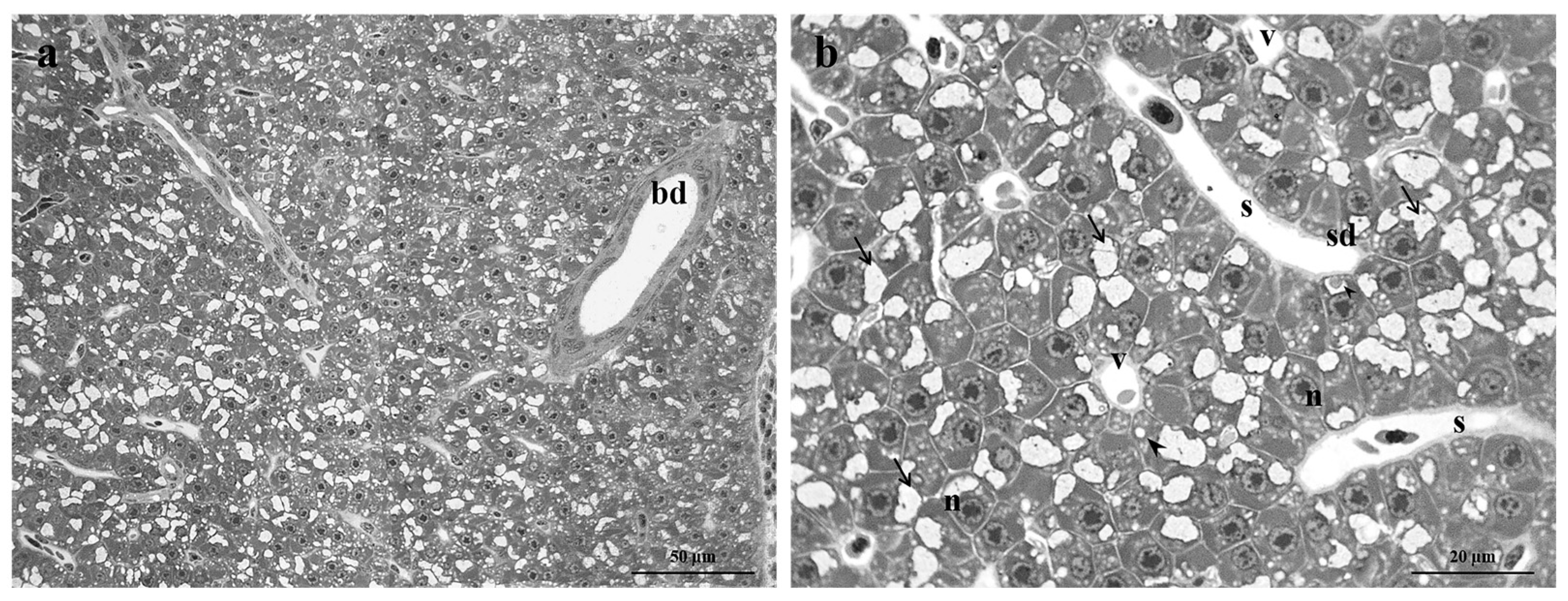 Fishes 08 00342 g001