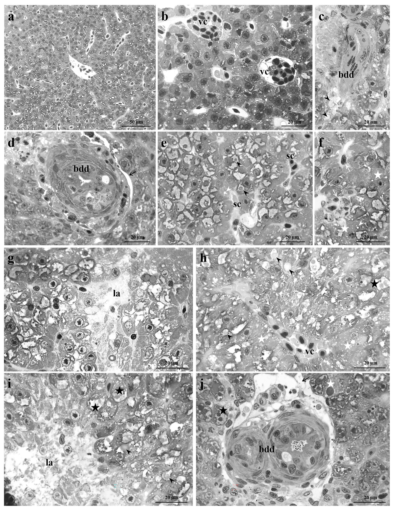 Fishes 08 00342 g002