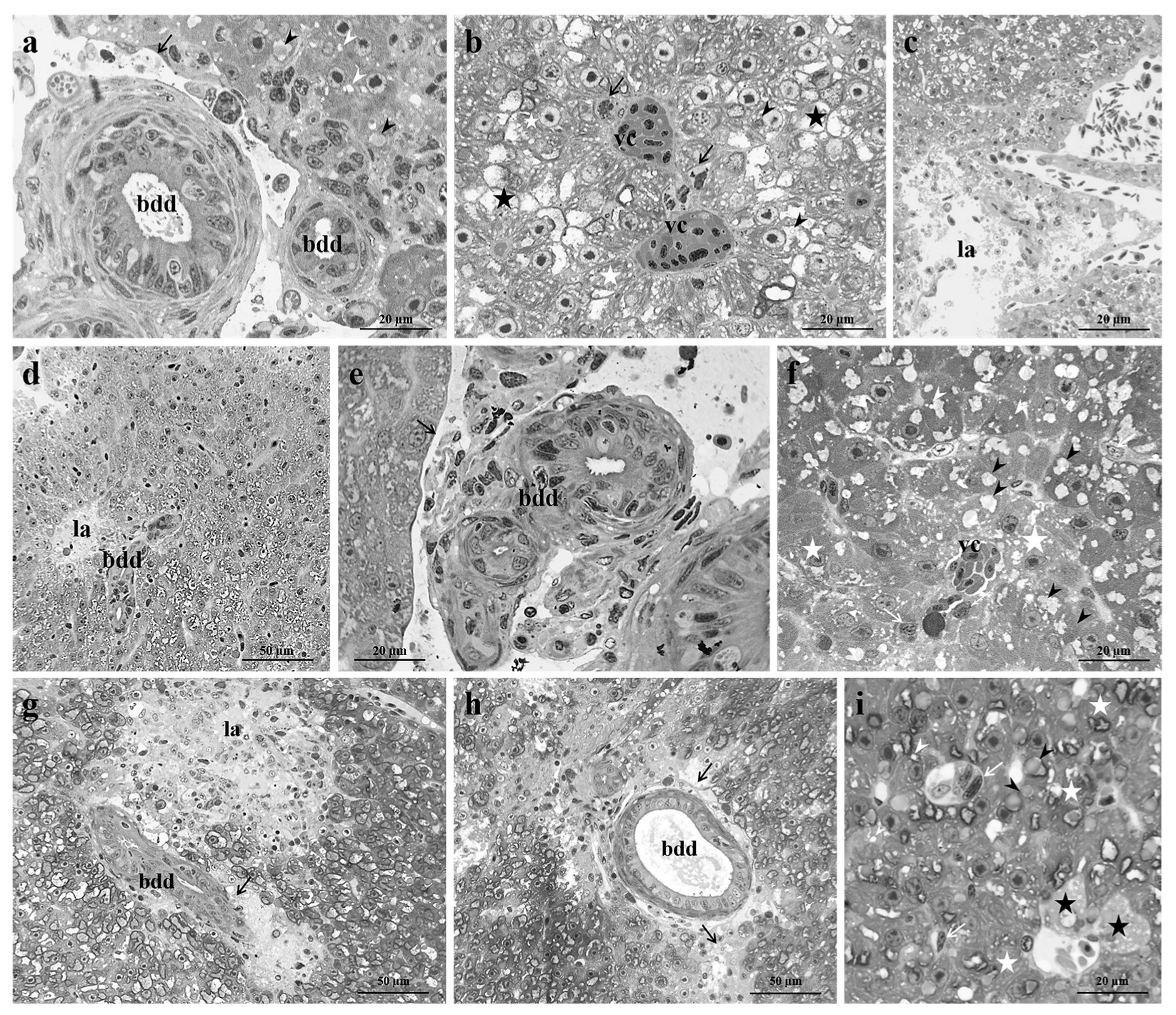 Fishes 08 00342 g004