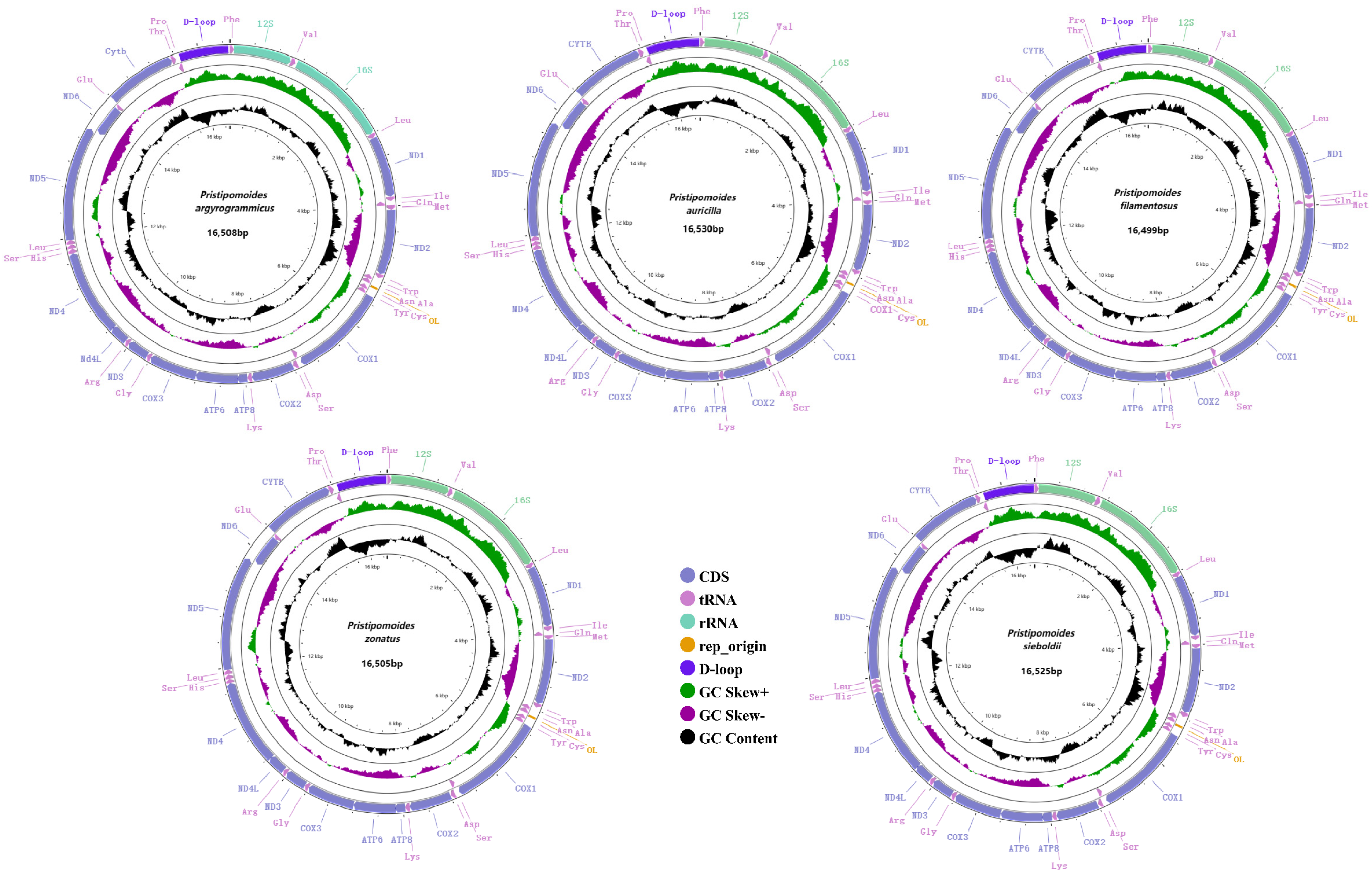 Fishes 08 00343 g001 Fishes 08 00343 g001