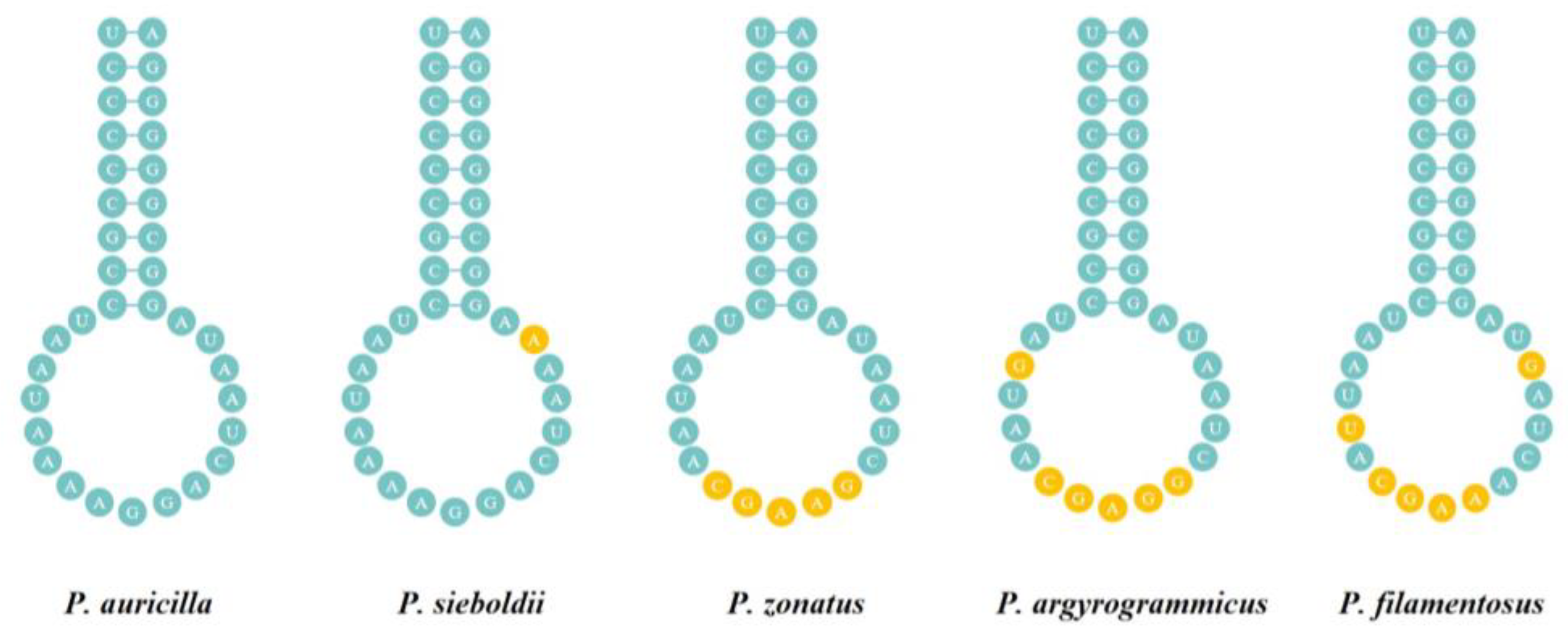 Fishes 08 00343 g008 Fishes 08 00343 g008