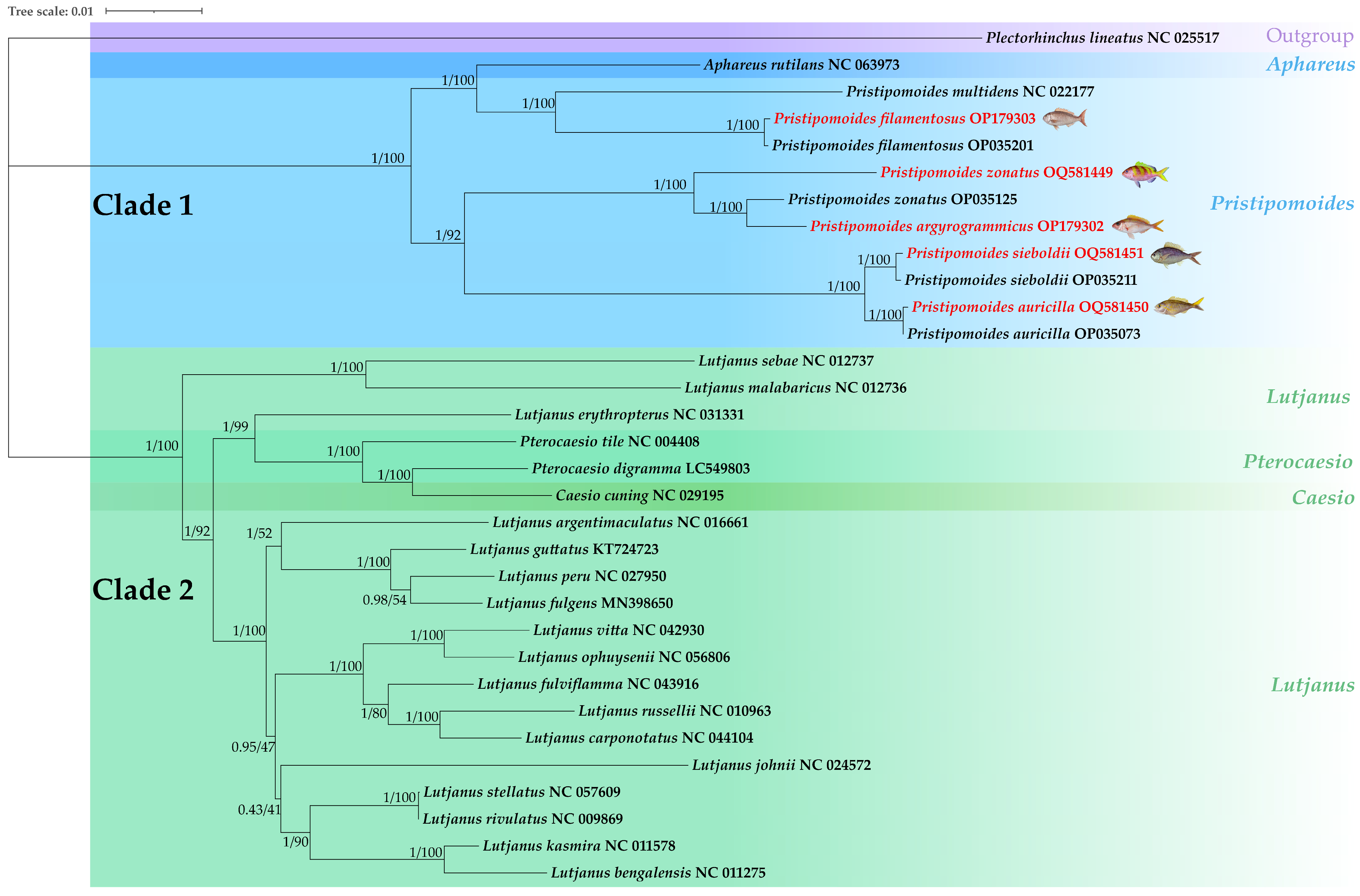Fishes 08 00343 g009 Fishes 08 00343 g009