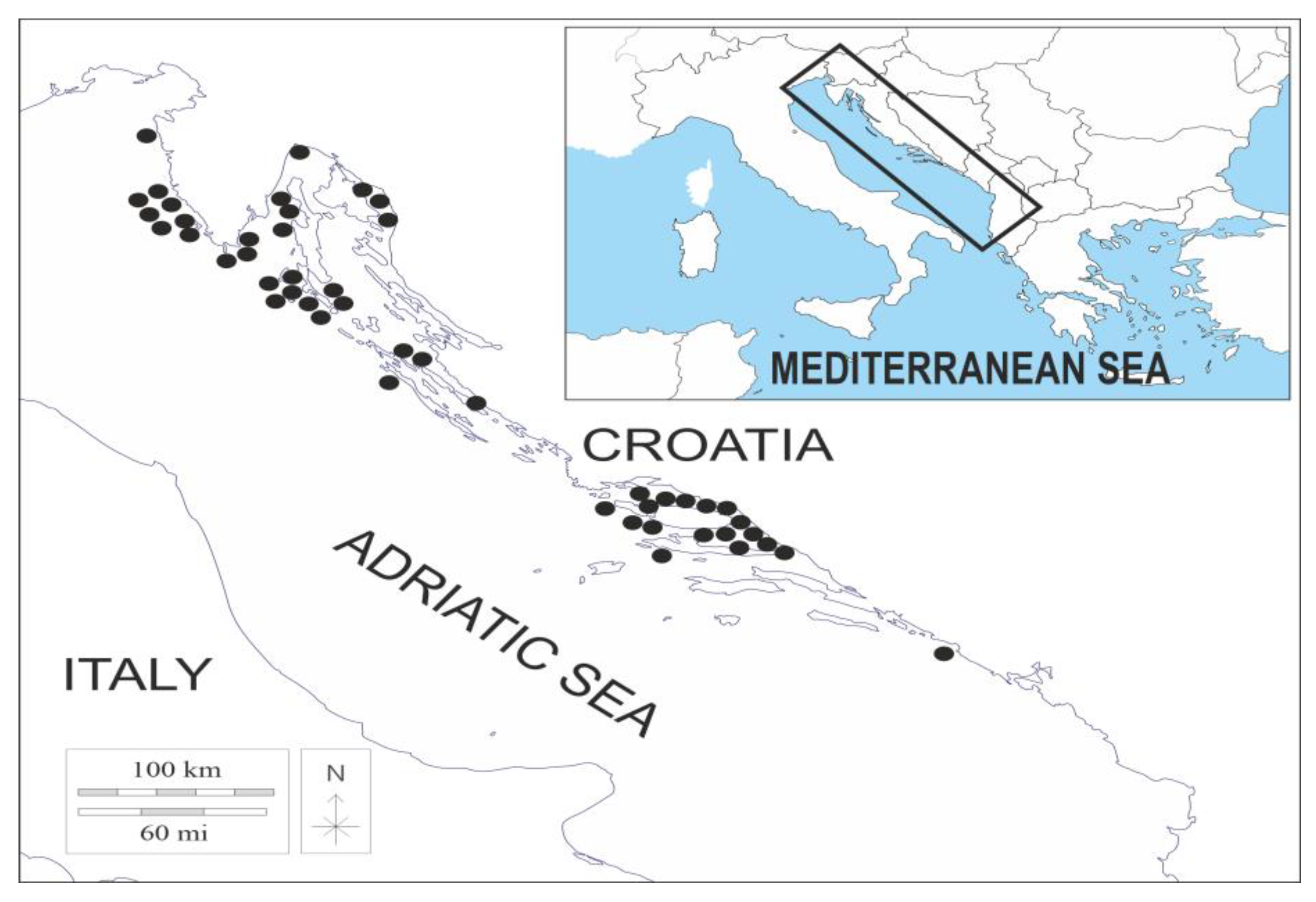Fishes 08 00346 g001
