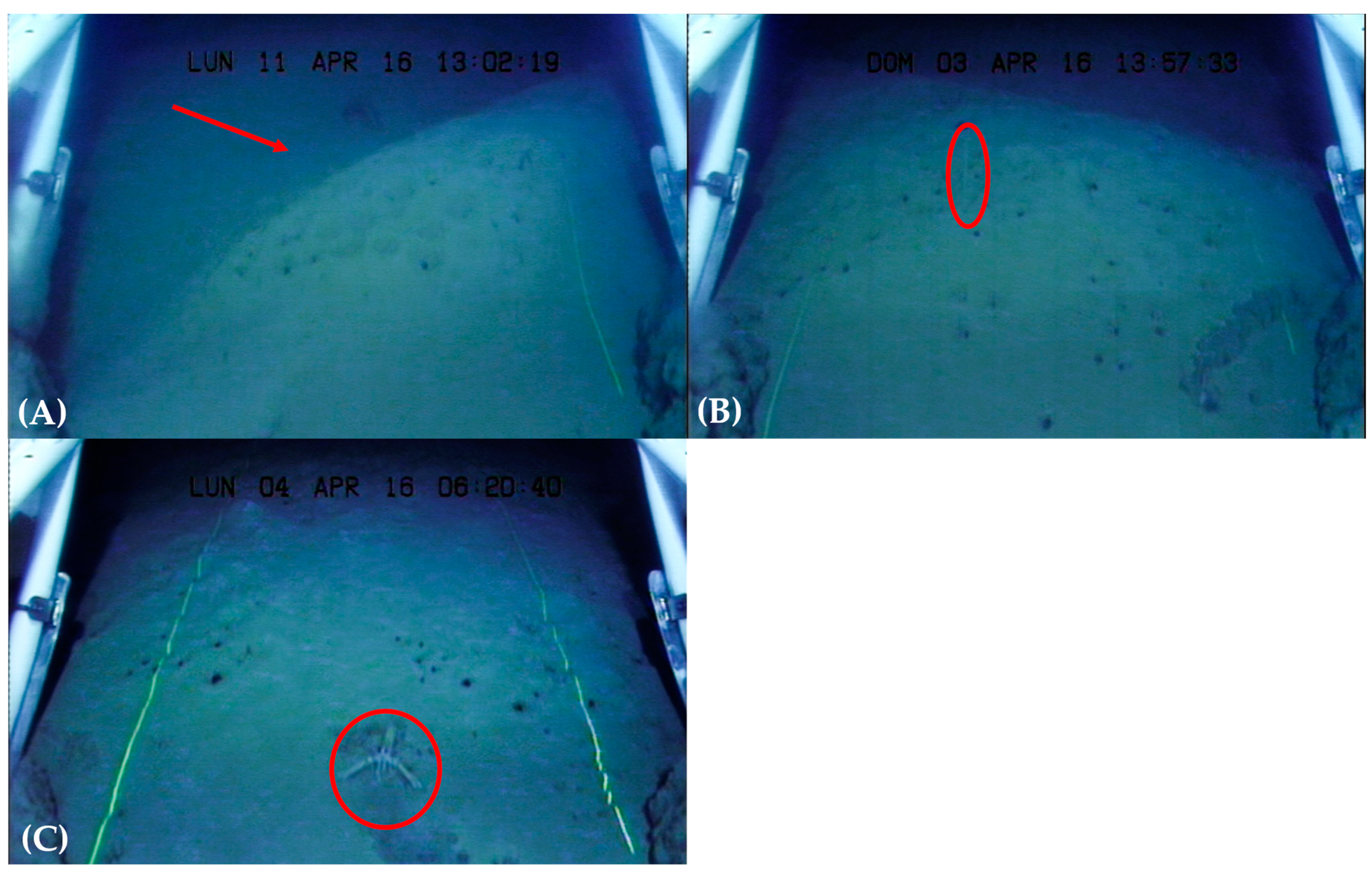 Fishes 08 00347 g002