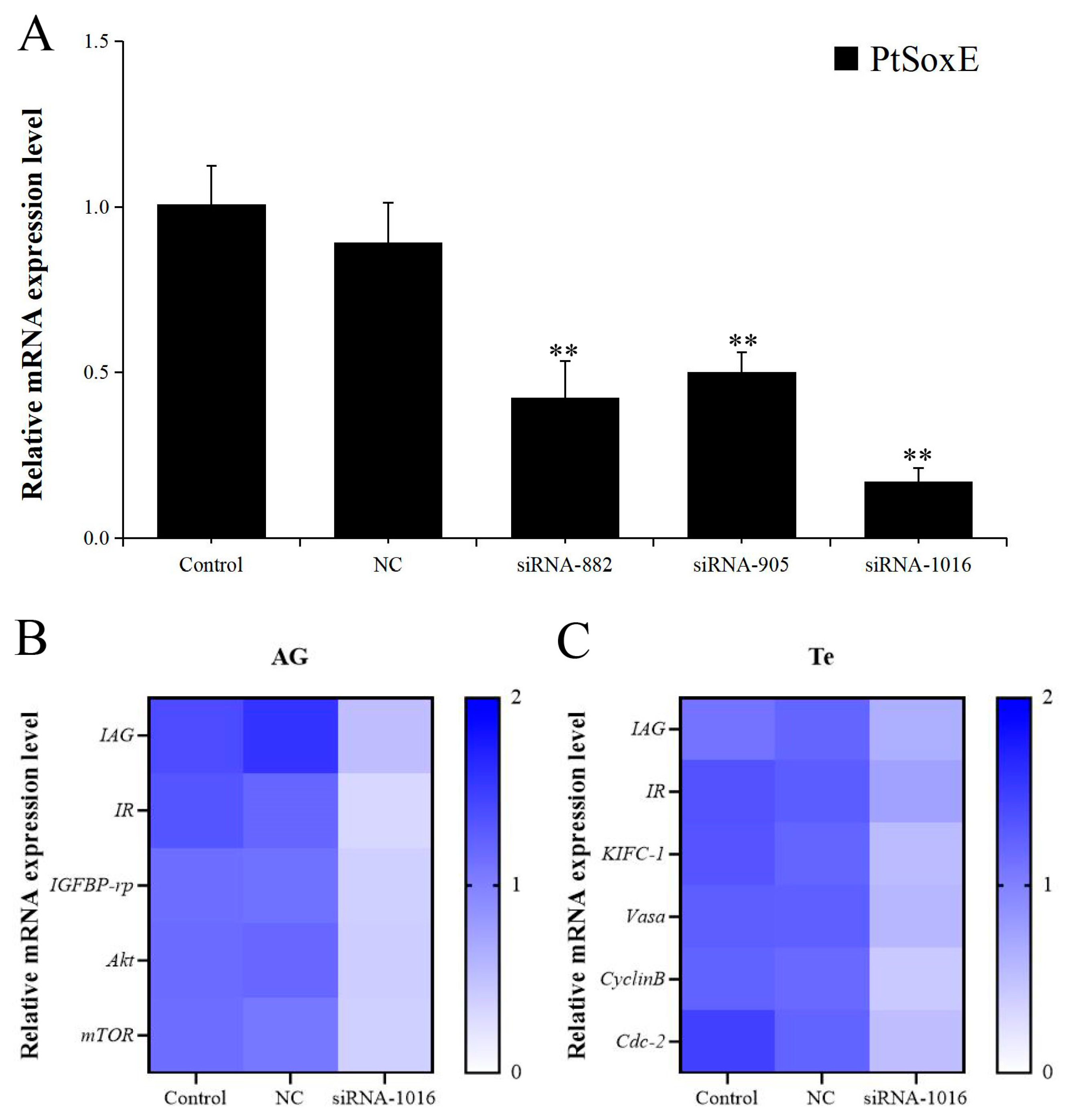 Fishes 08 00351 g004