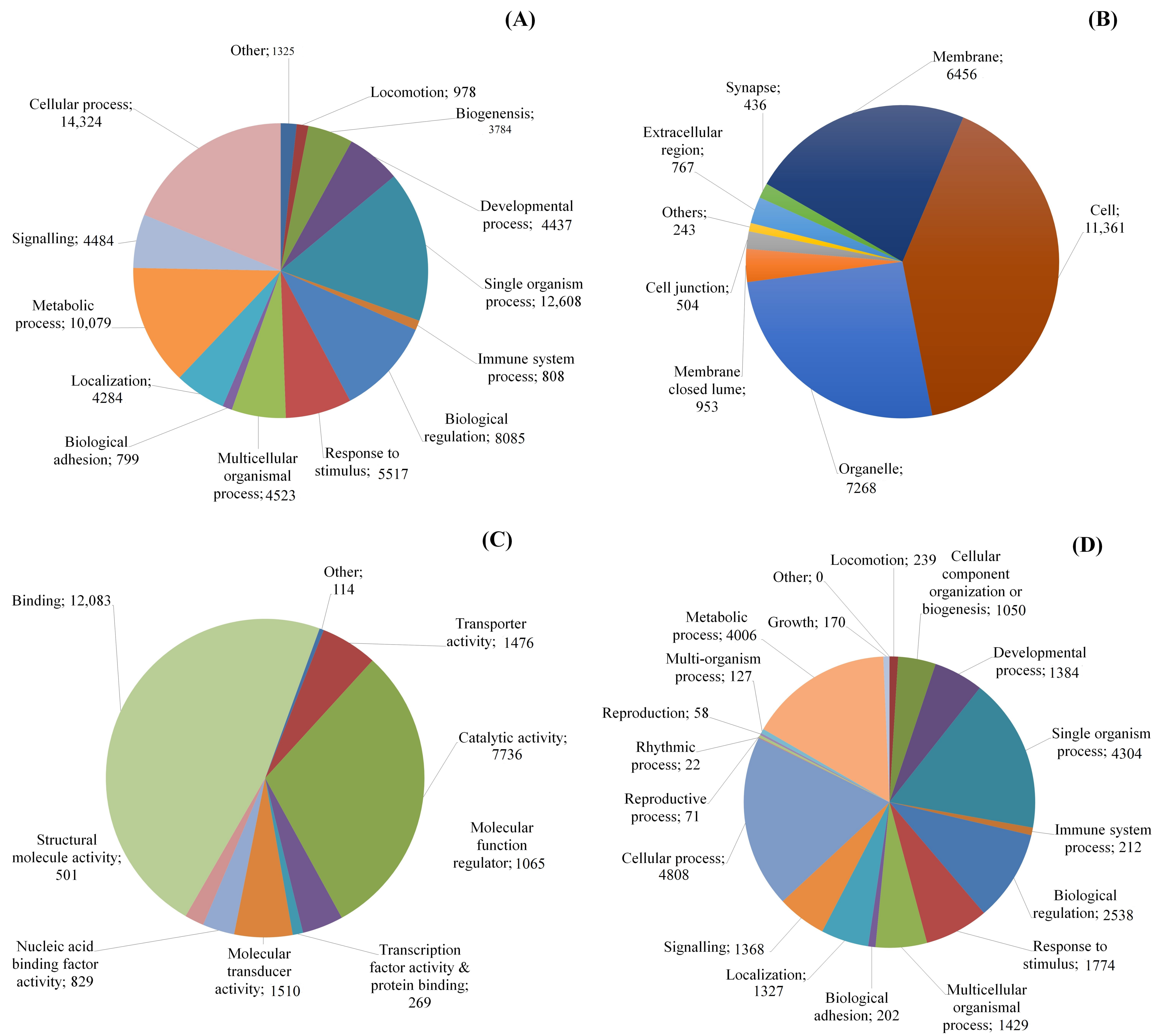 Fishes 08 00352 g002a Fishes 08 00352 g002a