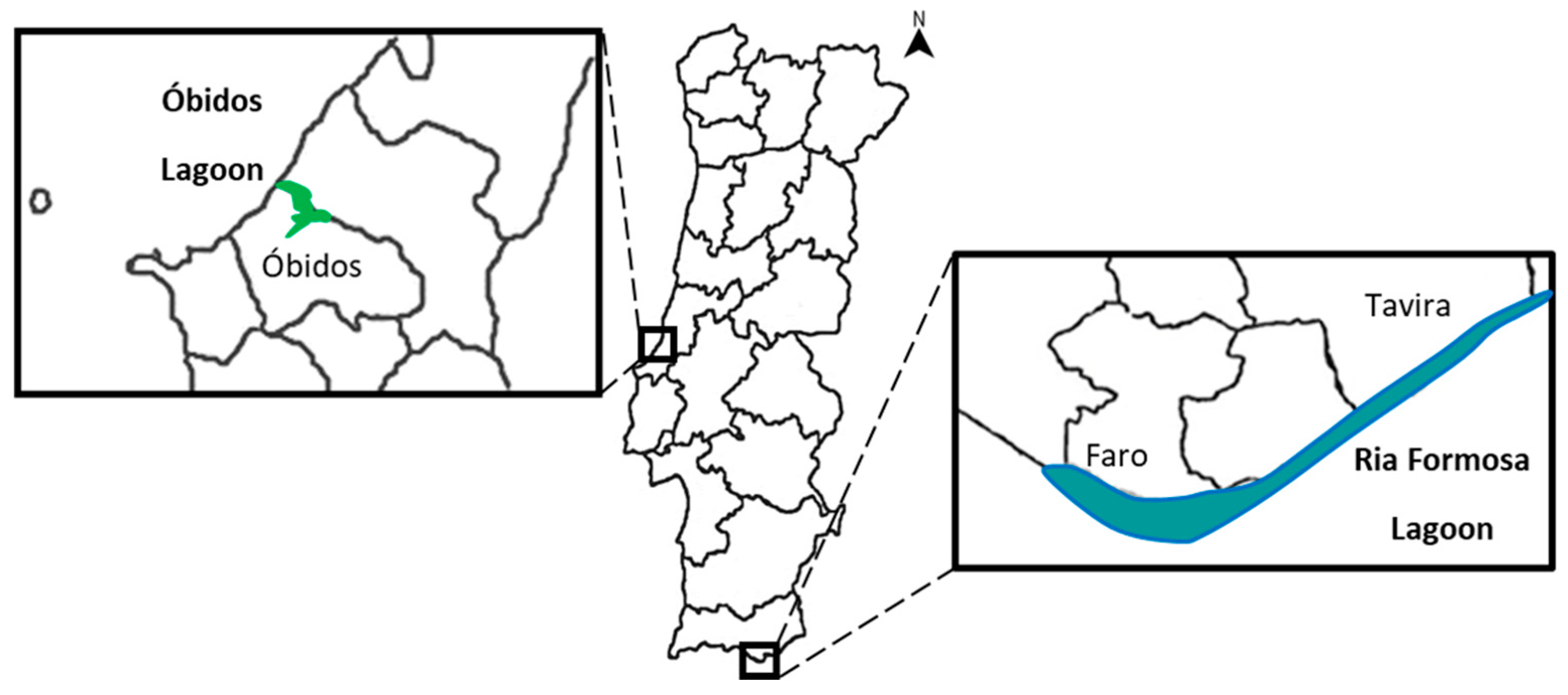 Fishes 08 00353 g001