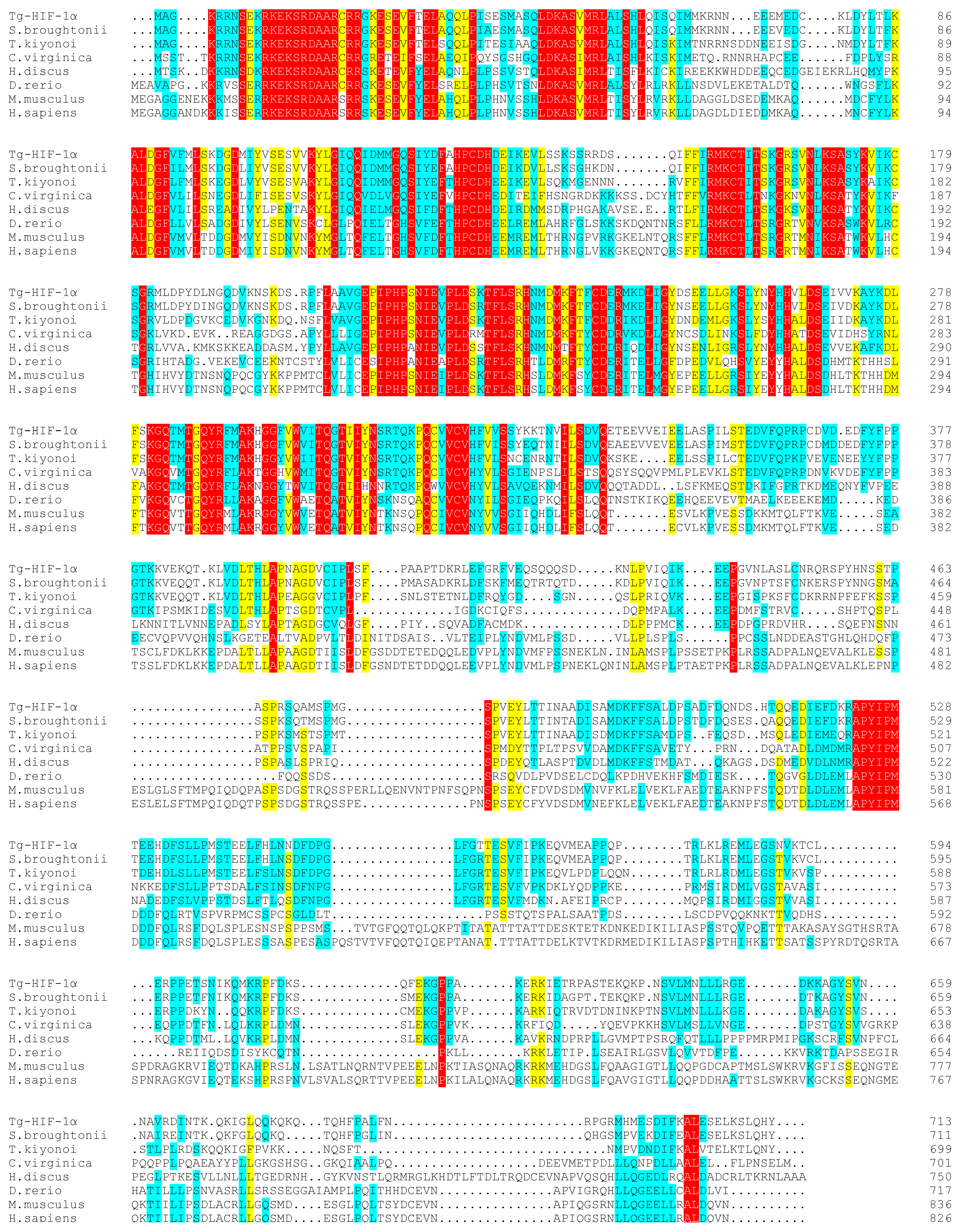 Fishes 08 00359 g0a4 Fishes 08 00359 g0a4