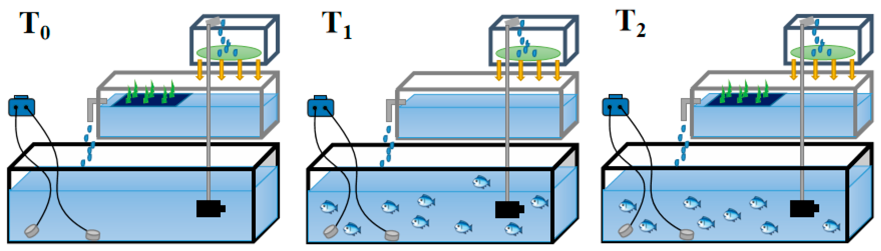 Fishes 08 00360 g001 Fishes 08 00360 g001