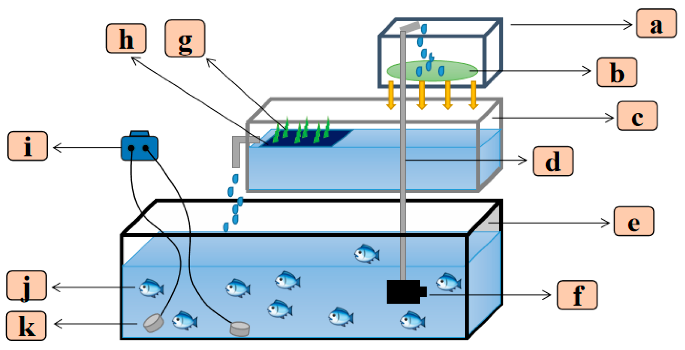 Fishes 08 00360 g002 Fishes 08 00360 g002