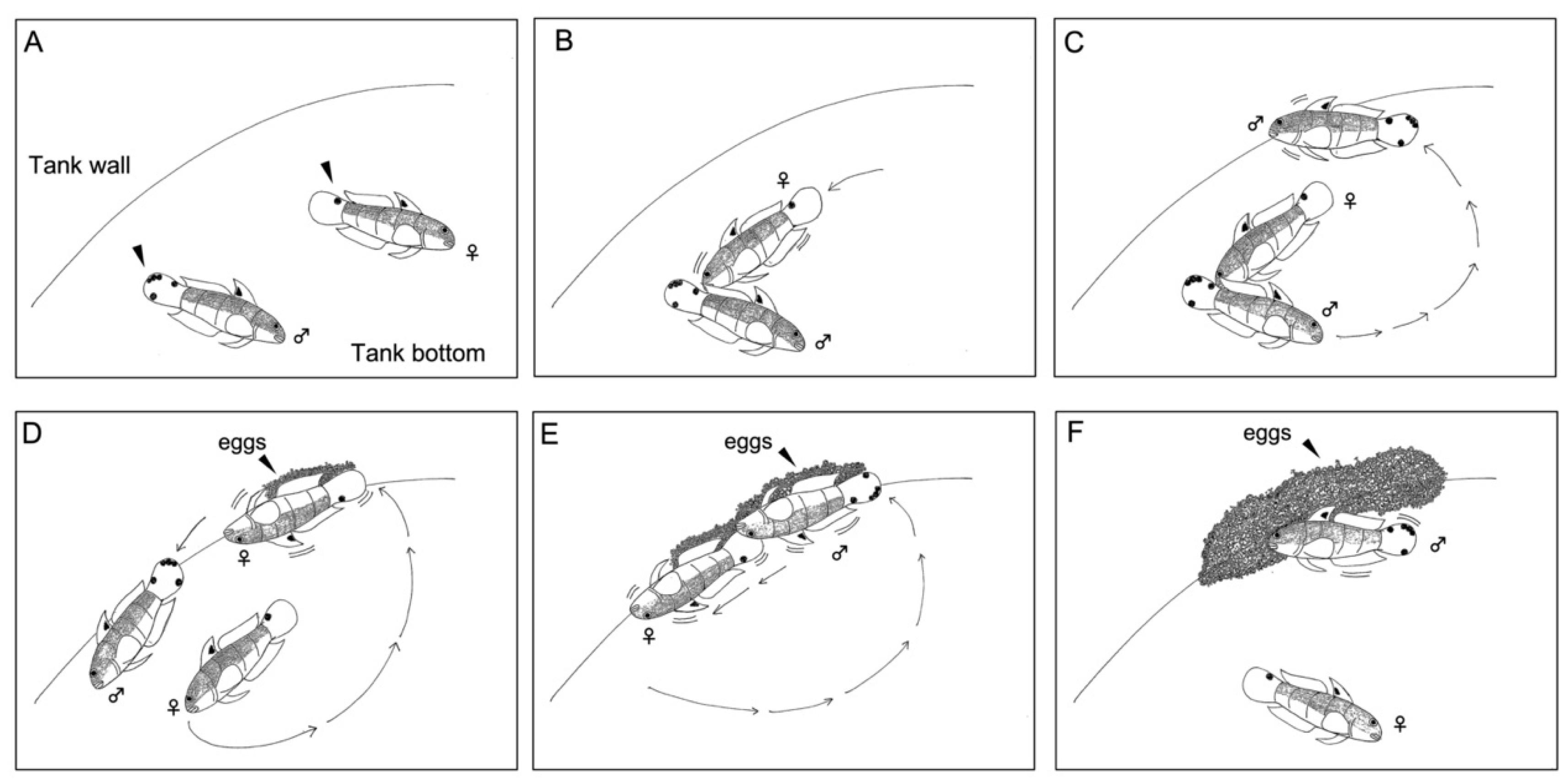 Fishes 08 00364 g003 Fishes 08 00364 g003