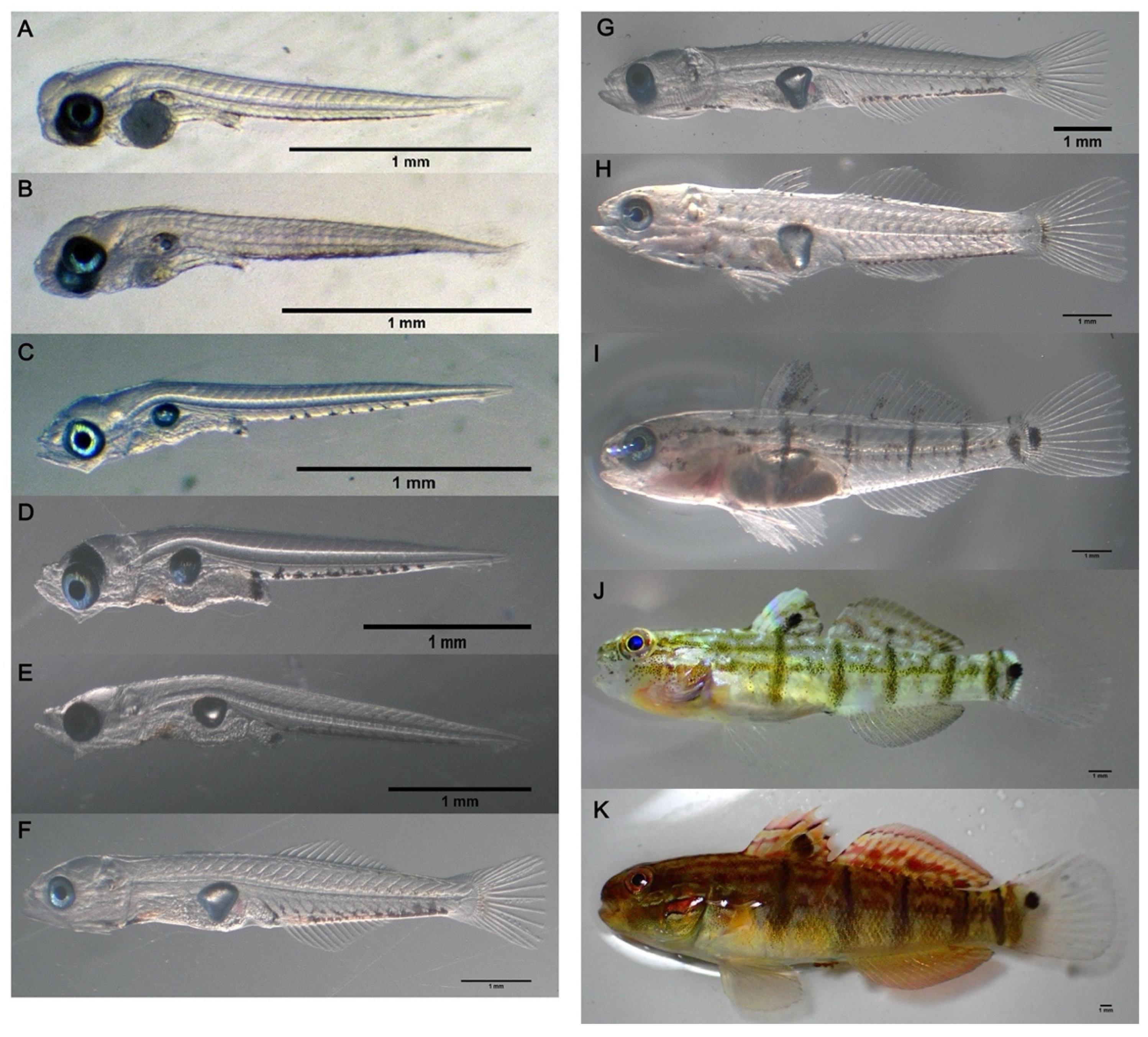 Fishes 08 00364 g006 Fishes 08 00364 g006