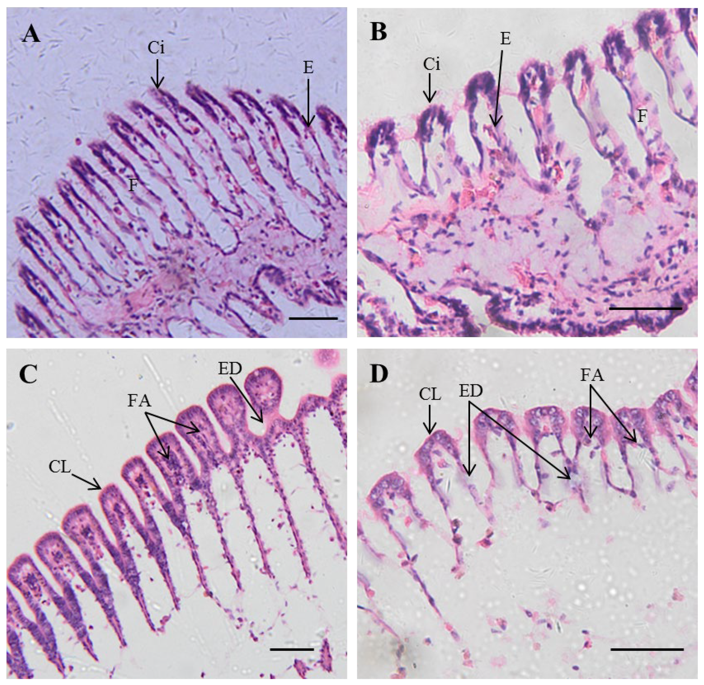 Fishes 08 00368 g002