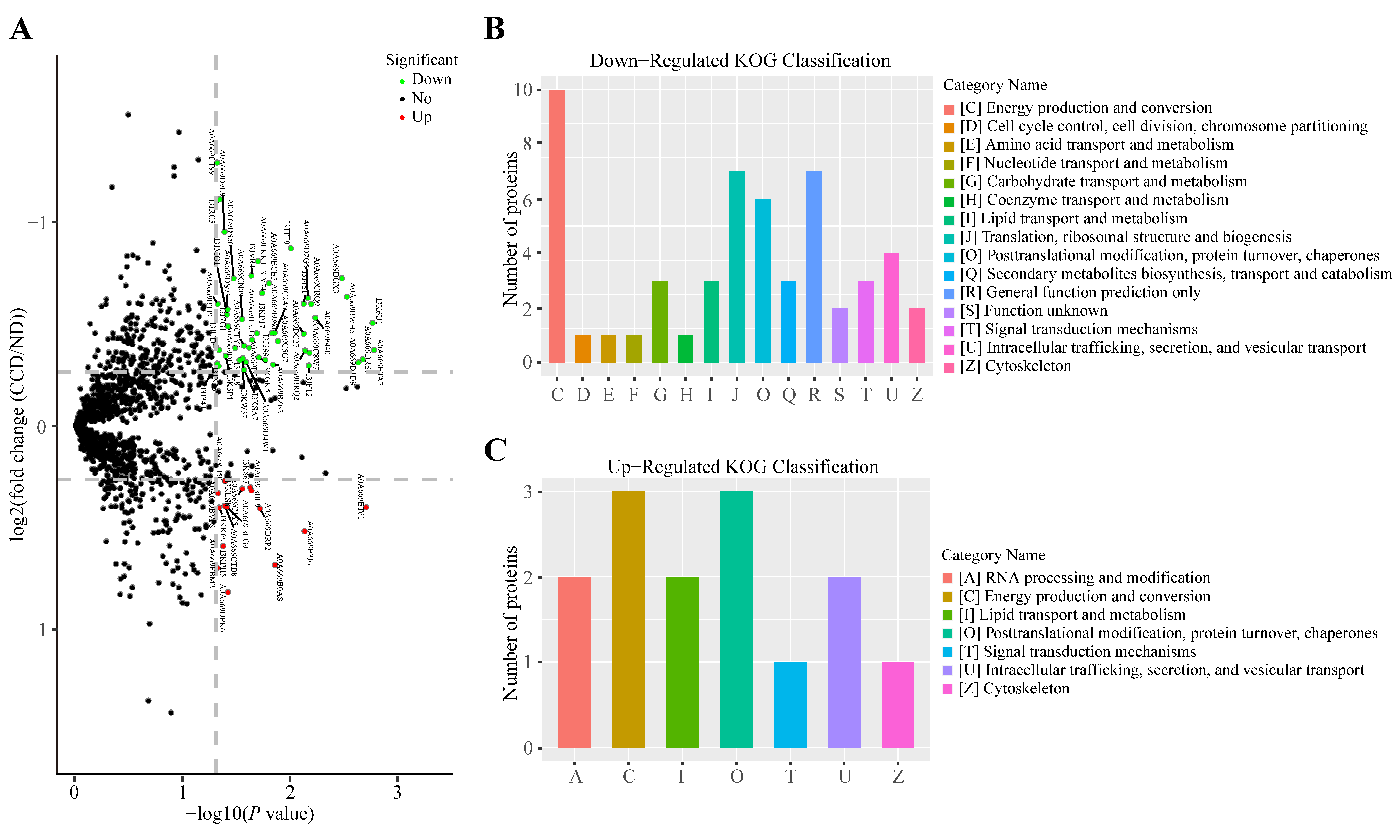 Fishes 08 00370 g004