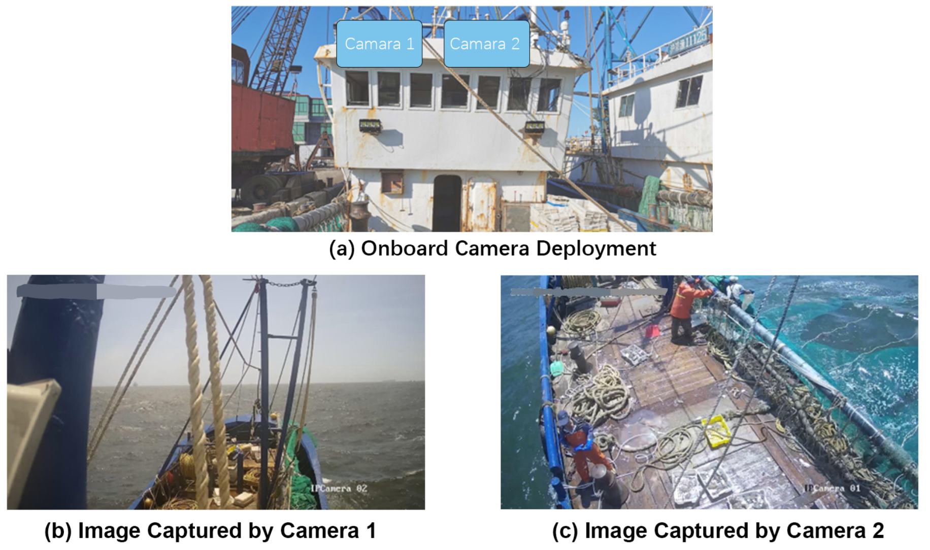 Fishes 08 00376 g001 550