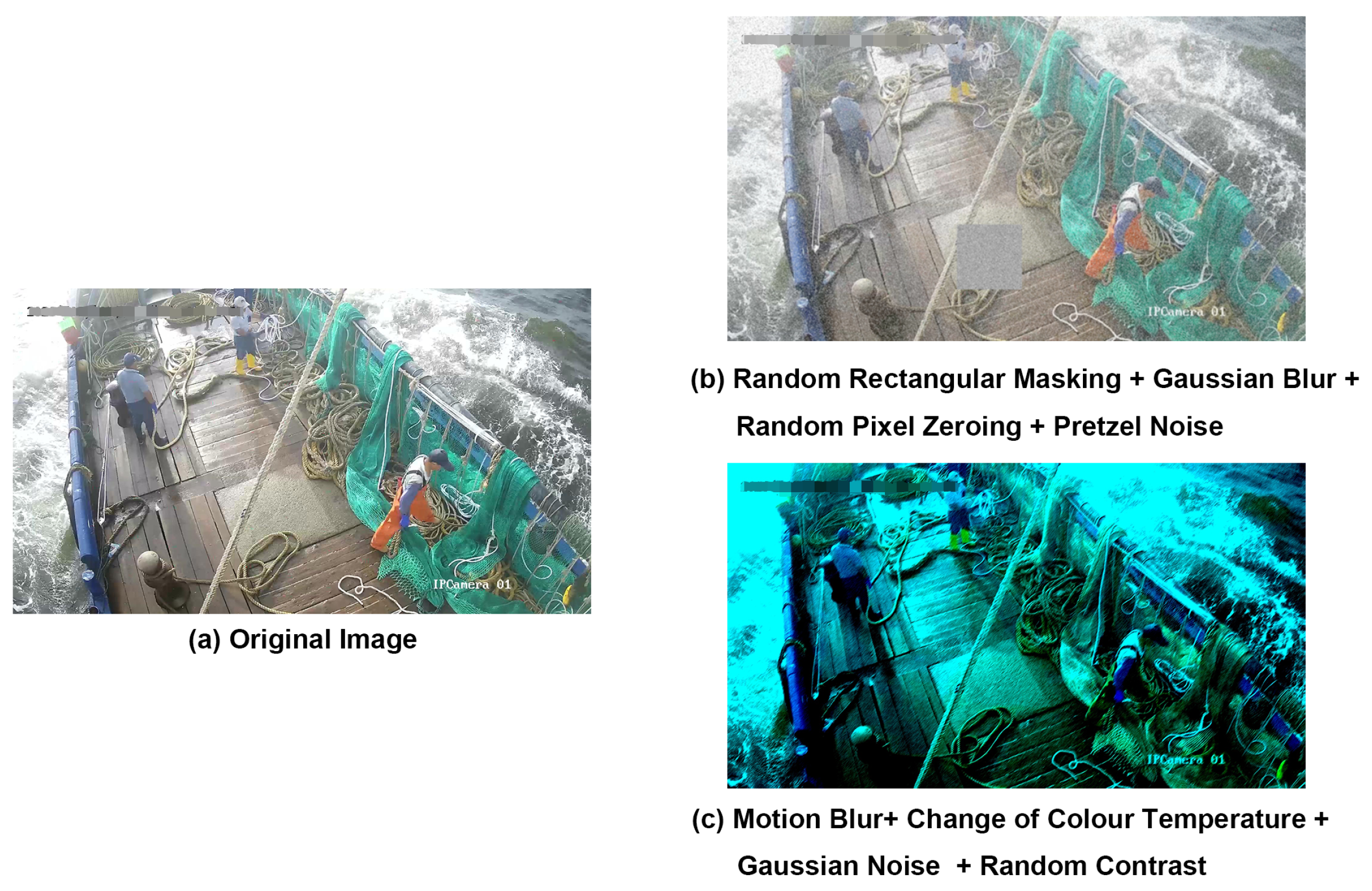 Fishes 08 00376 g002 550