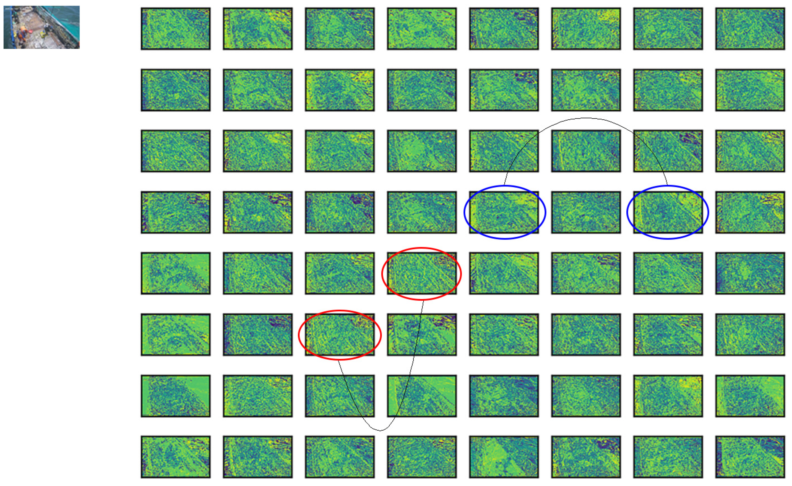 Fishes 08 00376 g004 550