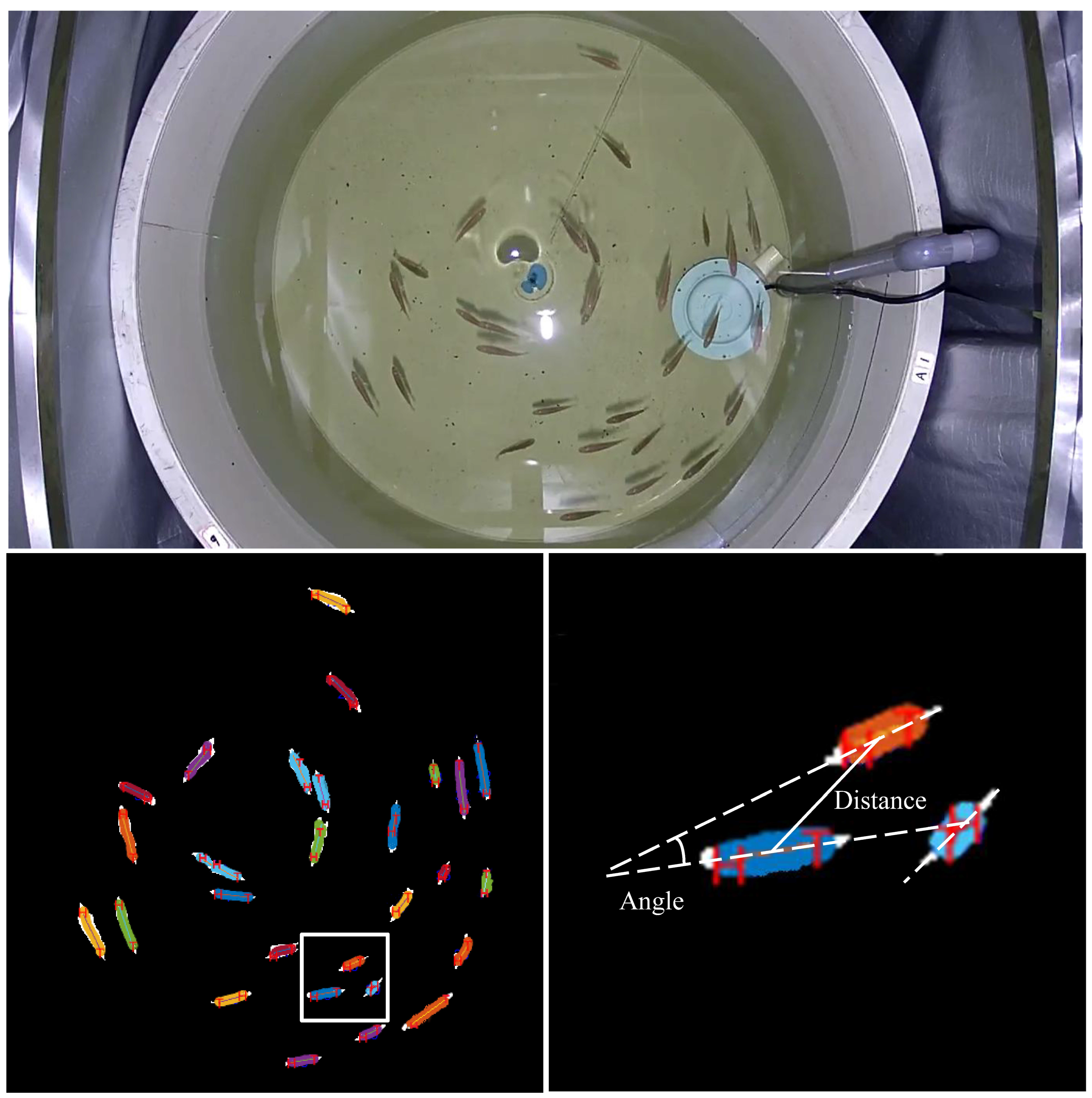 Fishes 08 00377 g003