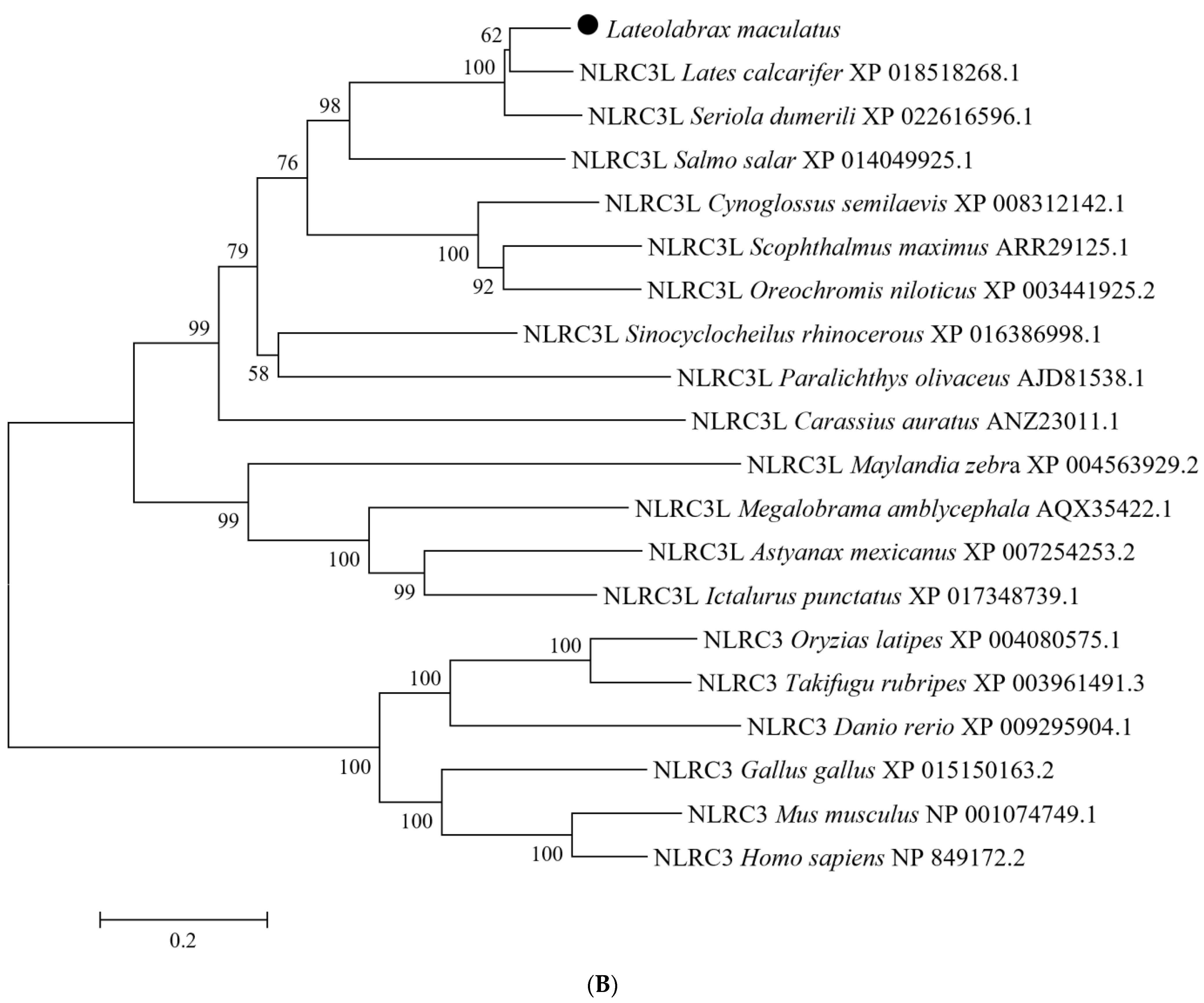 Fishes 08 00378 g001b
