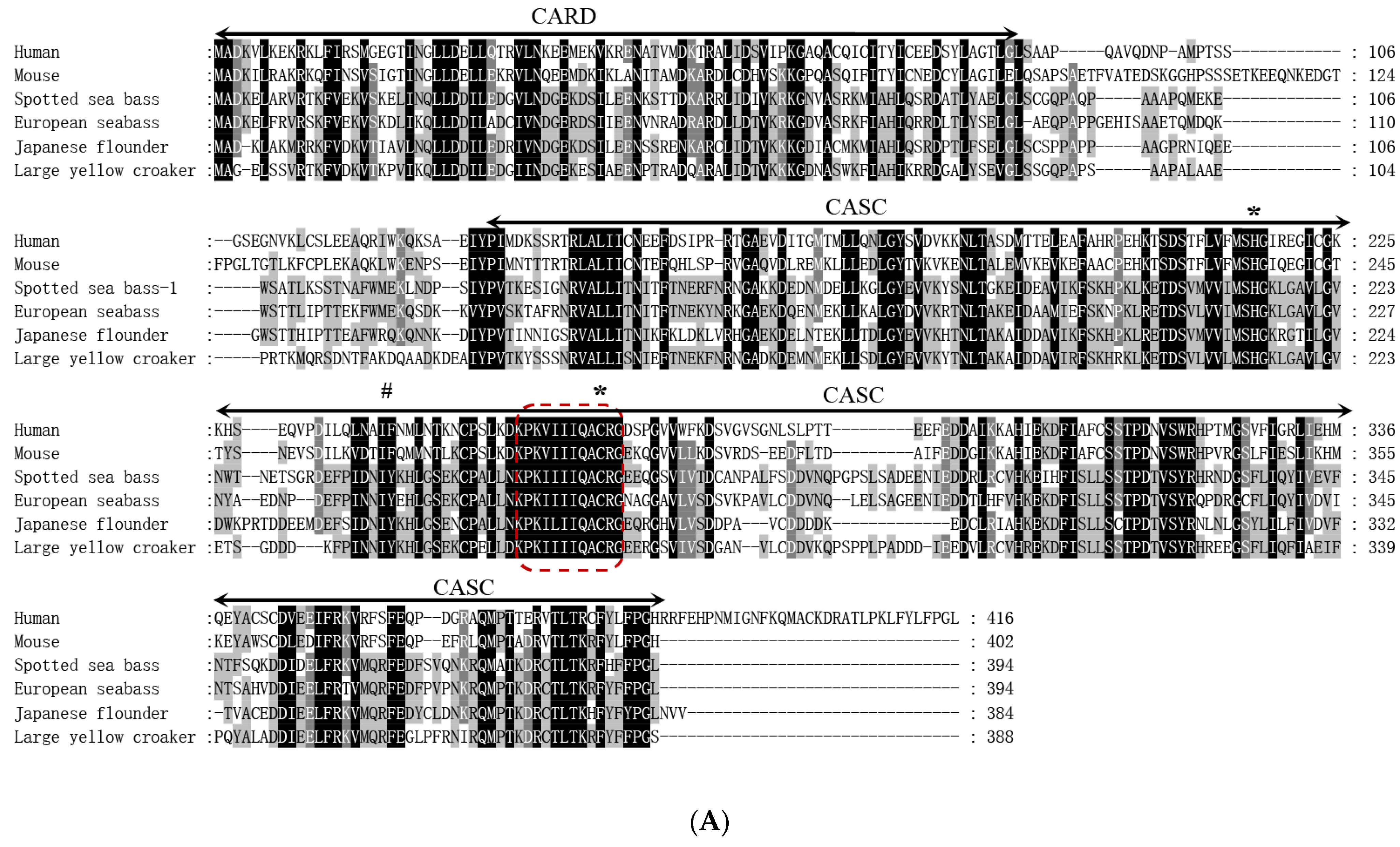 Fishes 08 00378 g003a