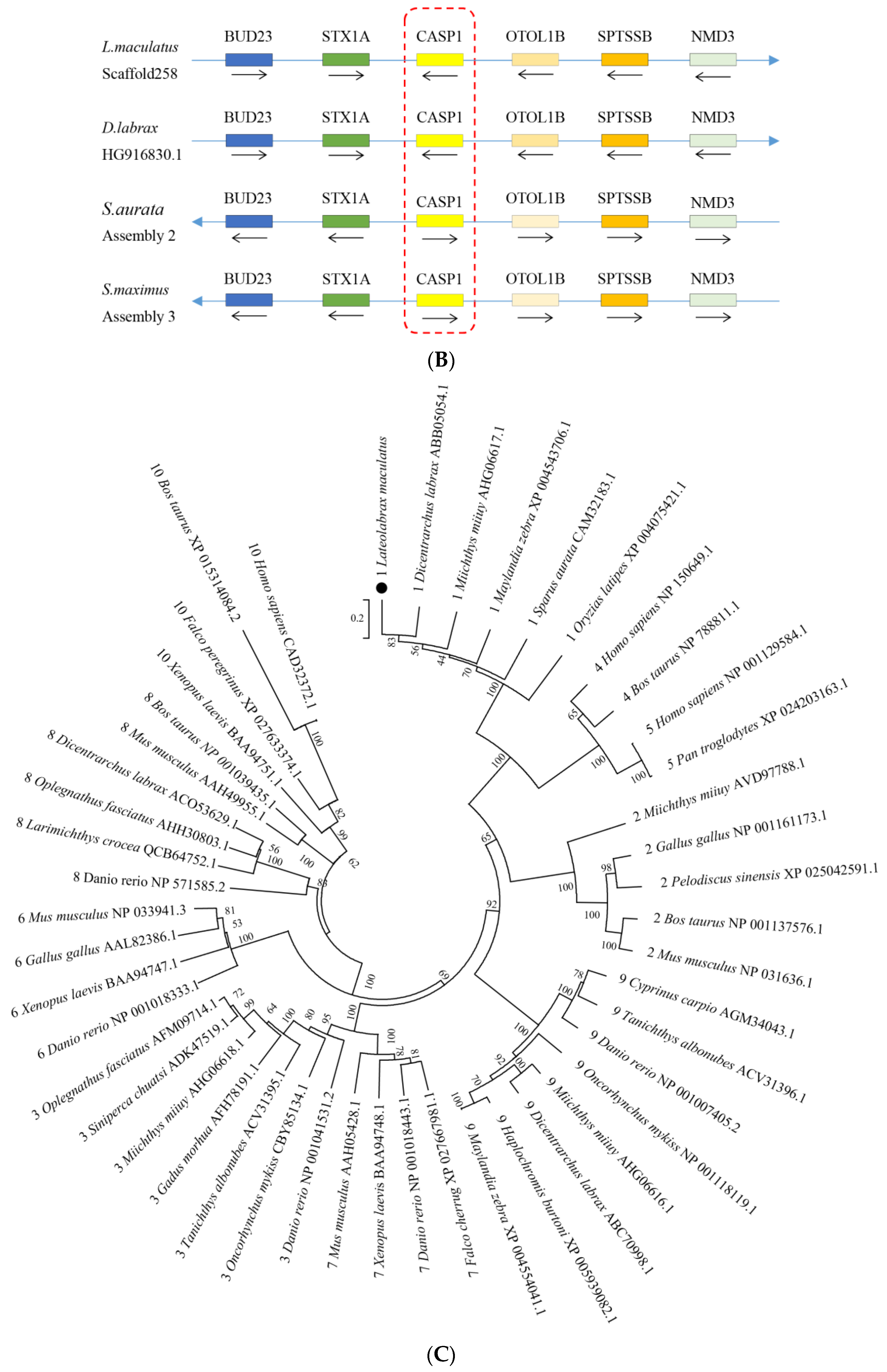 Fishes 08 00378 g003b