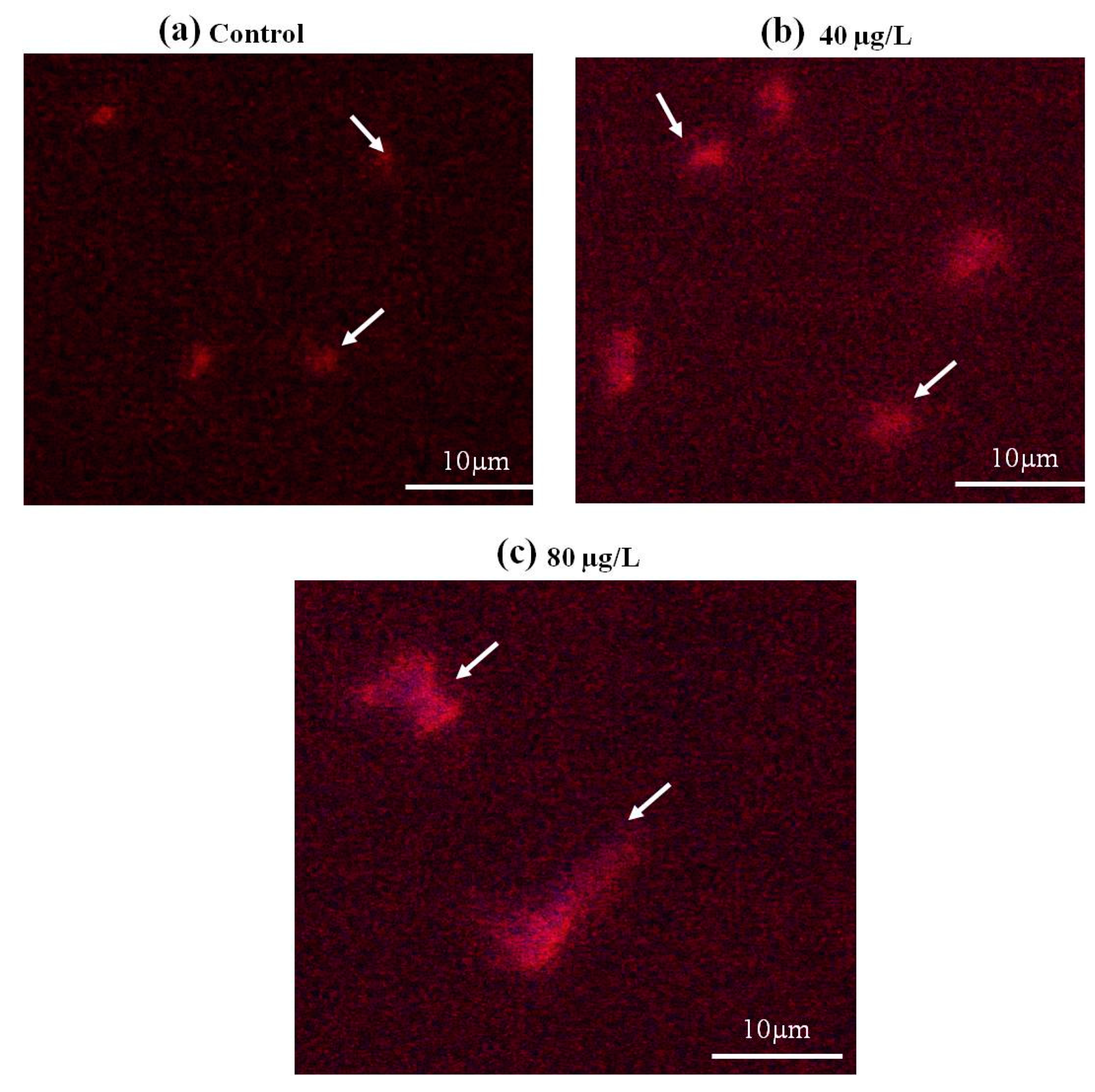 Fishes 08 00380 g004