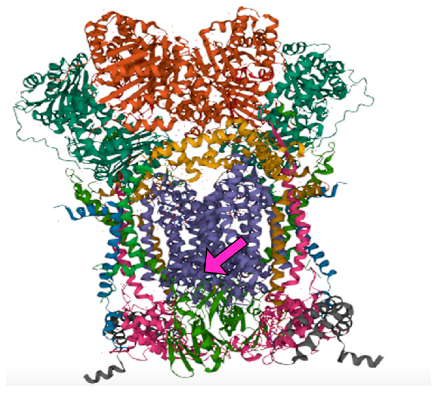 Fishes 08 00381 g003