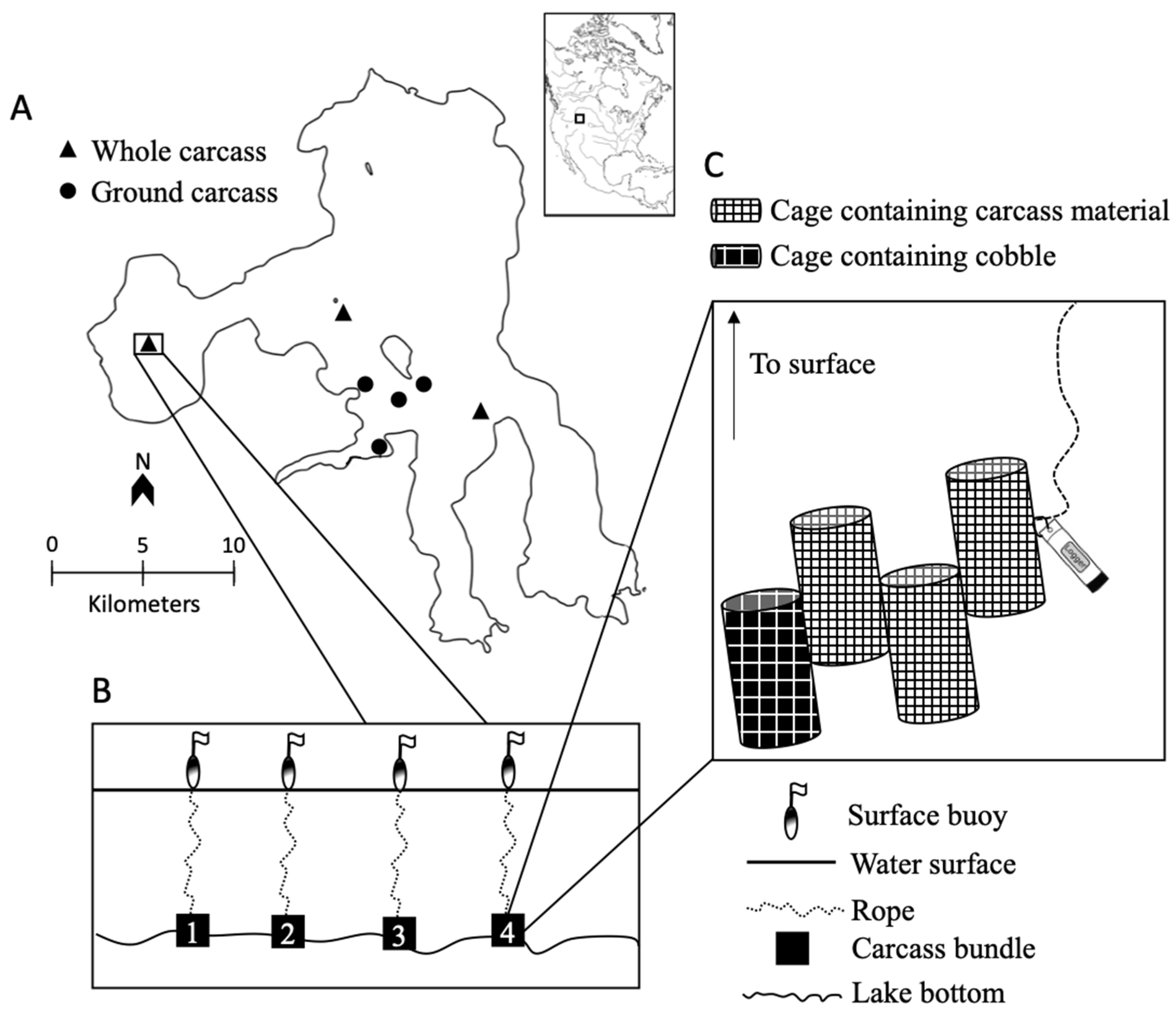 Fishes 08 00385 g001 Fishes 08 00385 g001