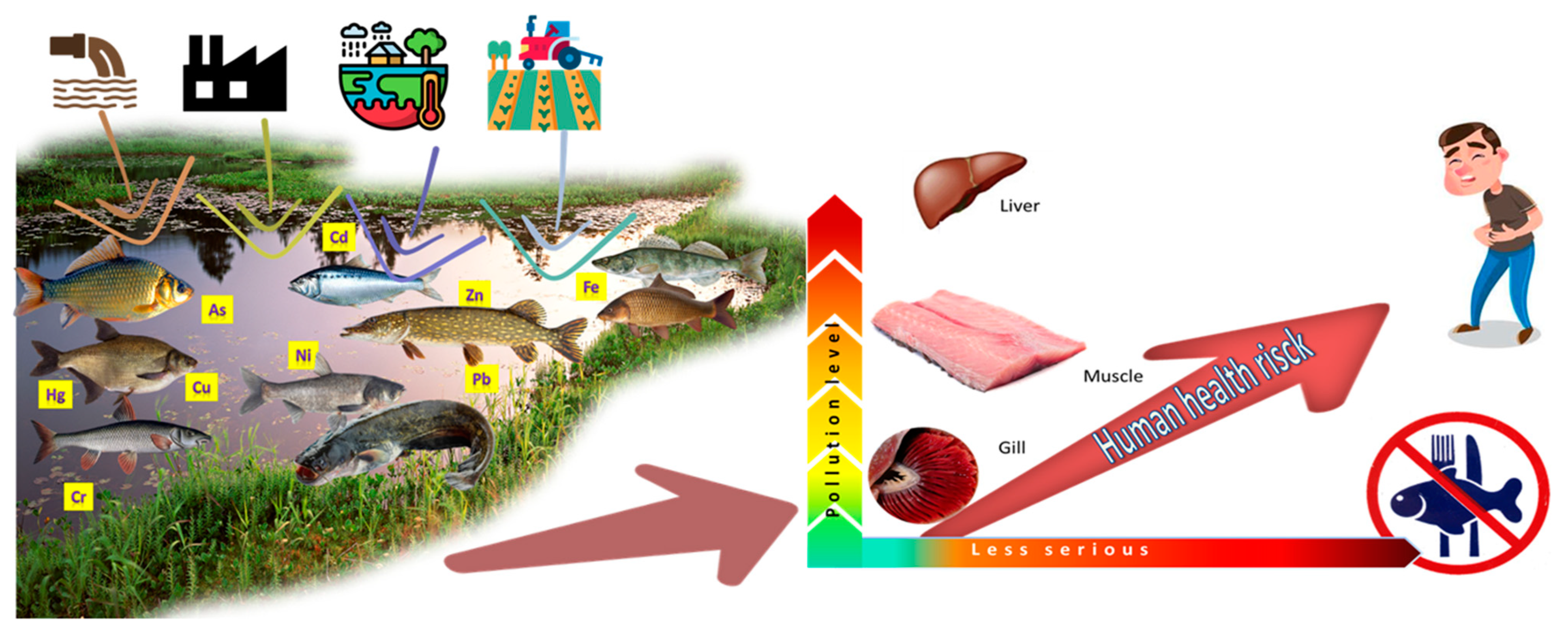 Fishes 08 00387 g001 Fishes 08 00387 g001