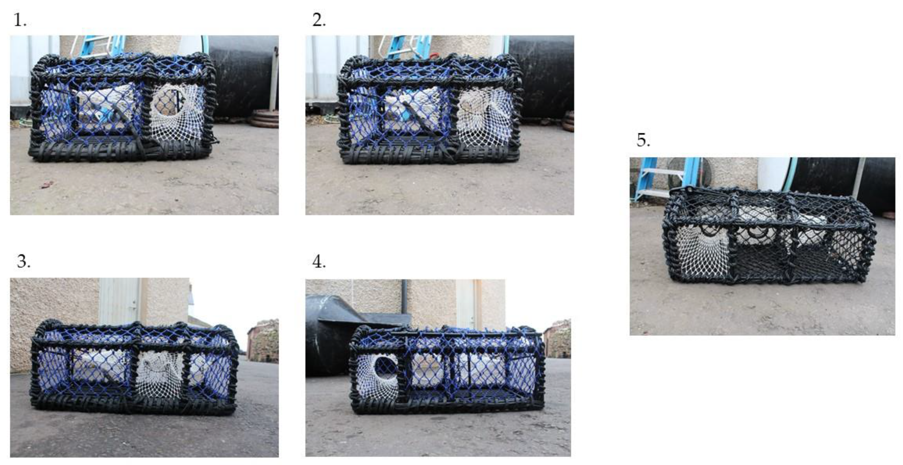 Fishes 08 00390 g003 Fishes 08 00390 g003