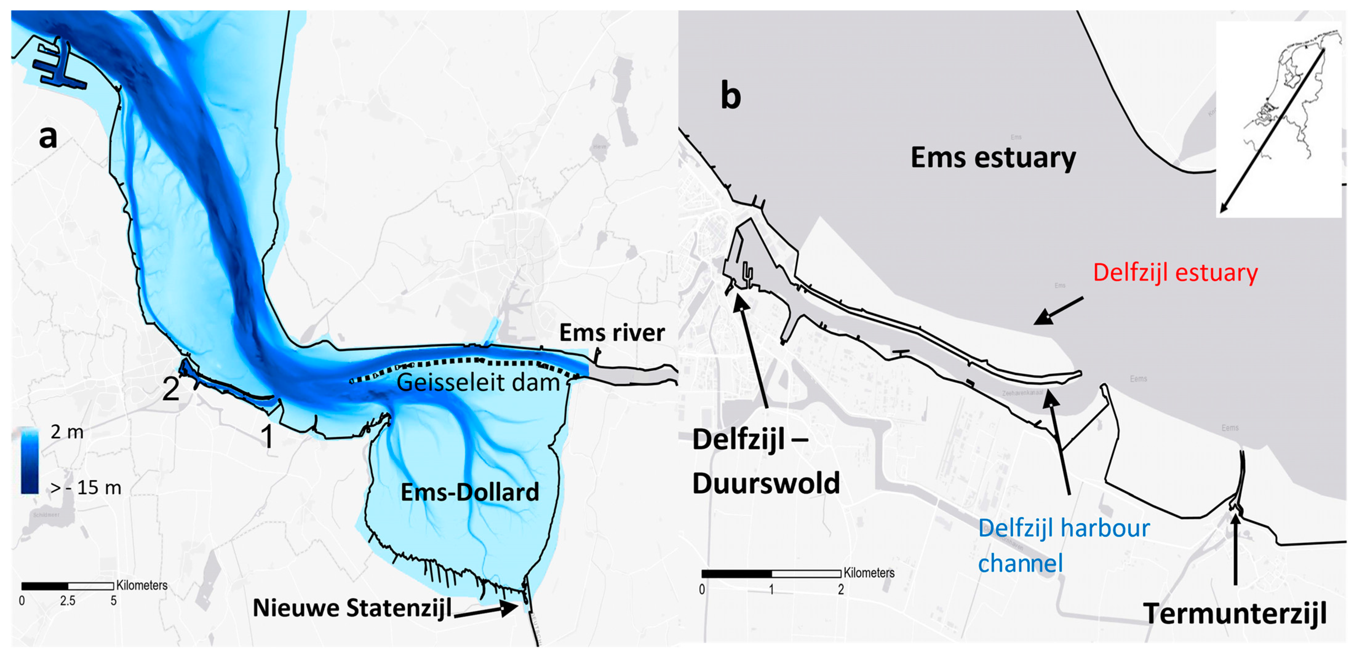 Fishes 08 00392 g001 Fishes 08 00392 g001