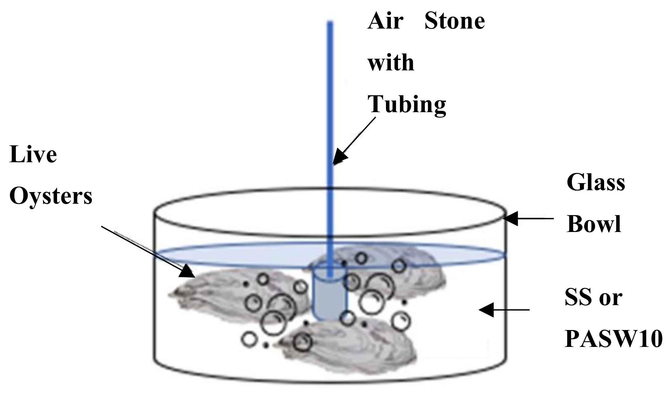 Fishes 08 00396 g001