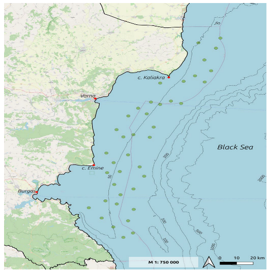 Fishes 08 00400 g001