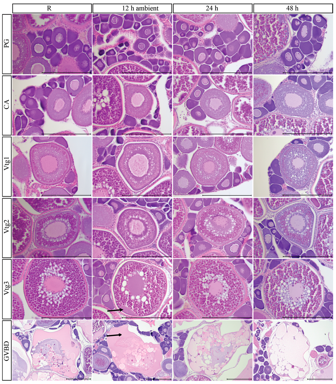 Fishes 08 00406 g002a