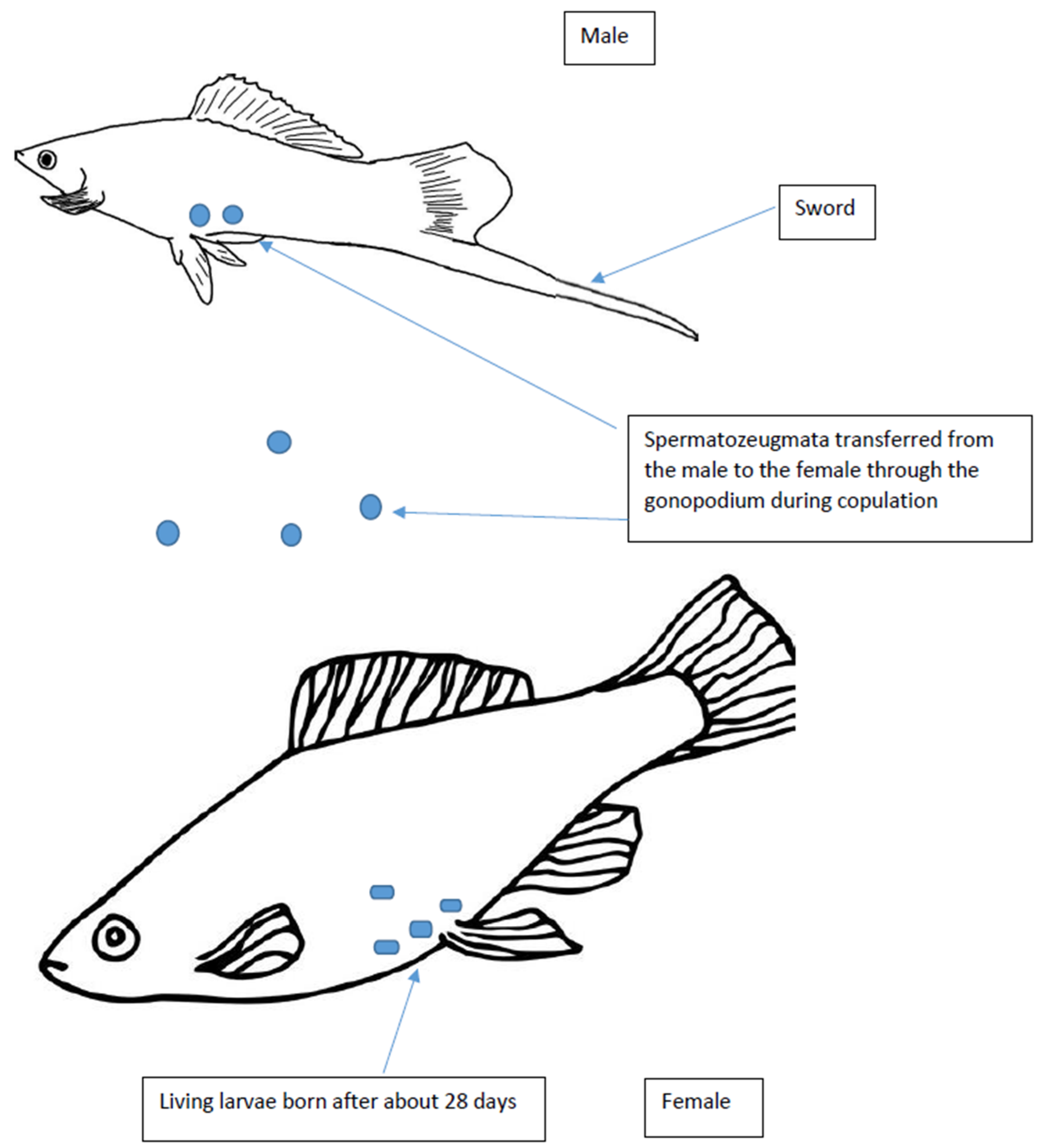 Fishes 08 00407 g002