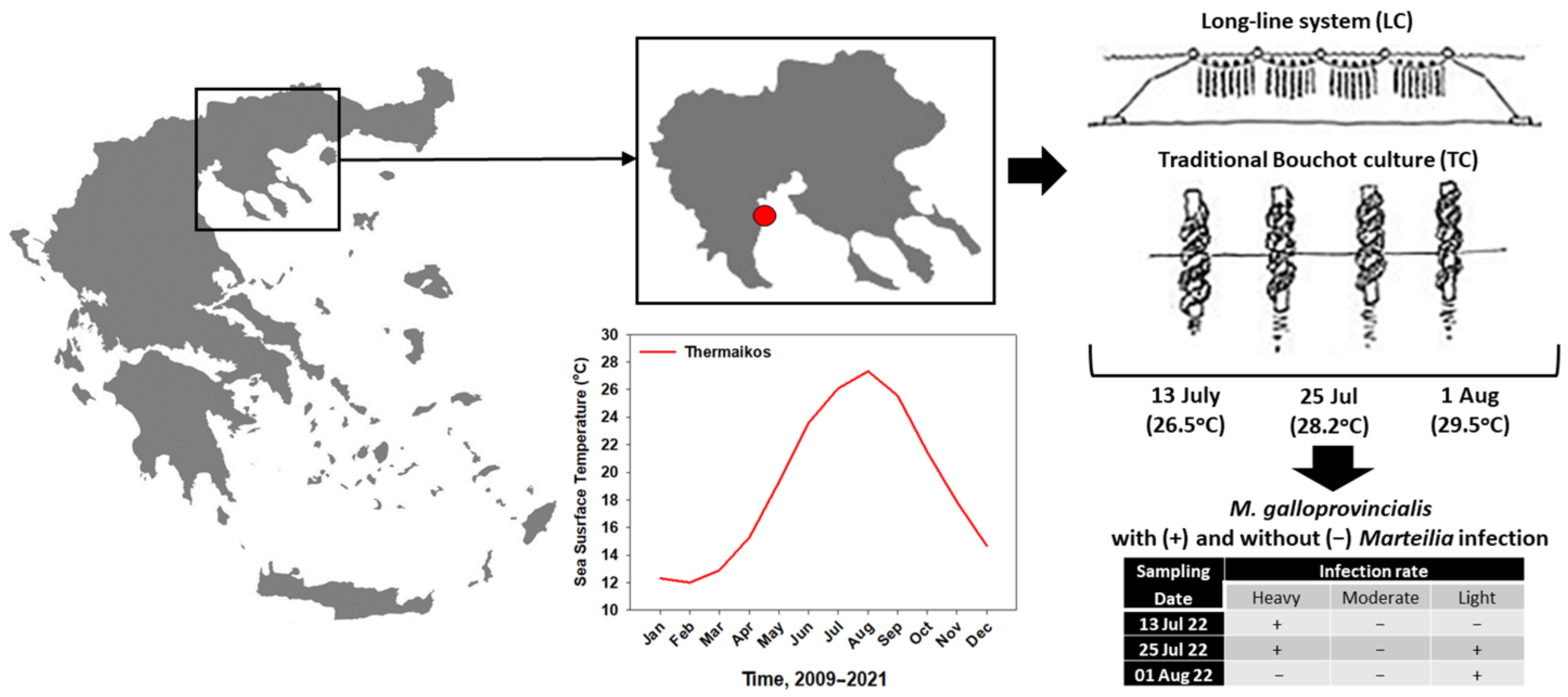 Fishes 08 00408 g001