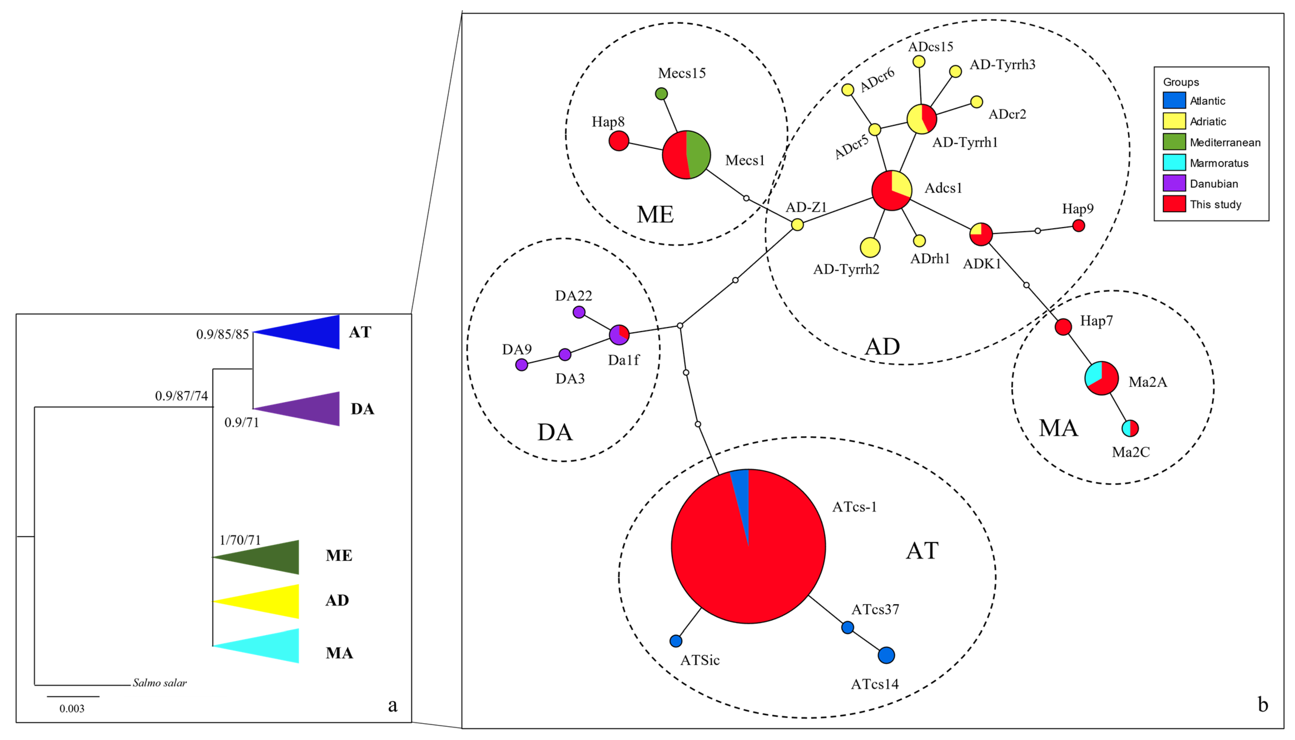 Fishes 08 00411 g002