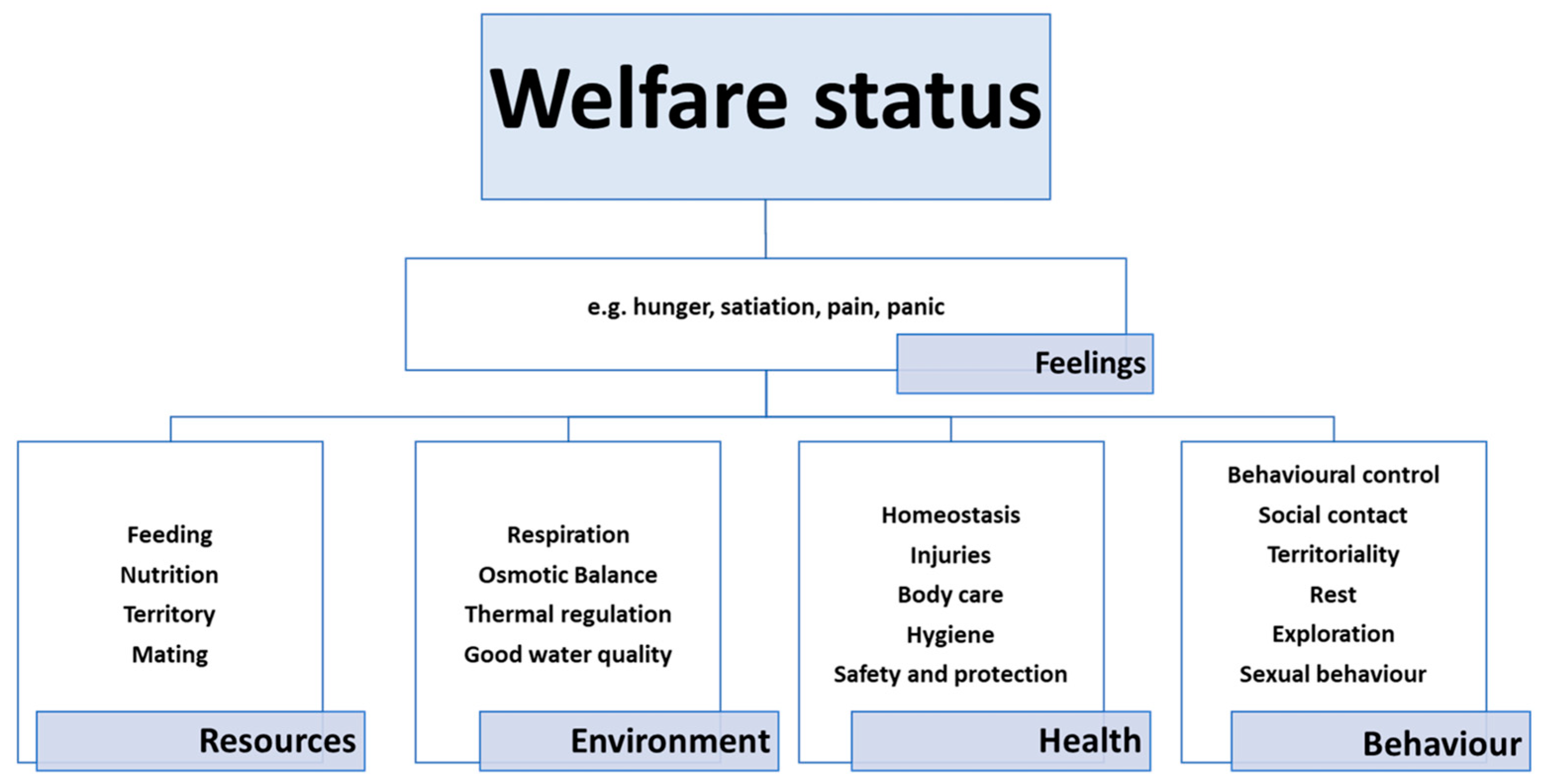 Fishes 08 00414 g001