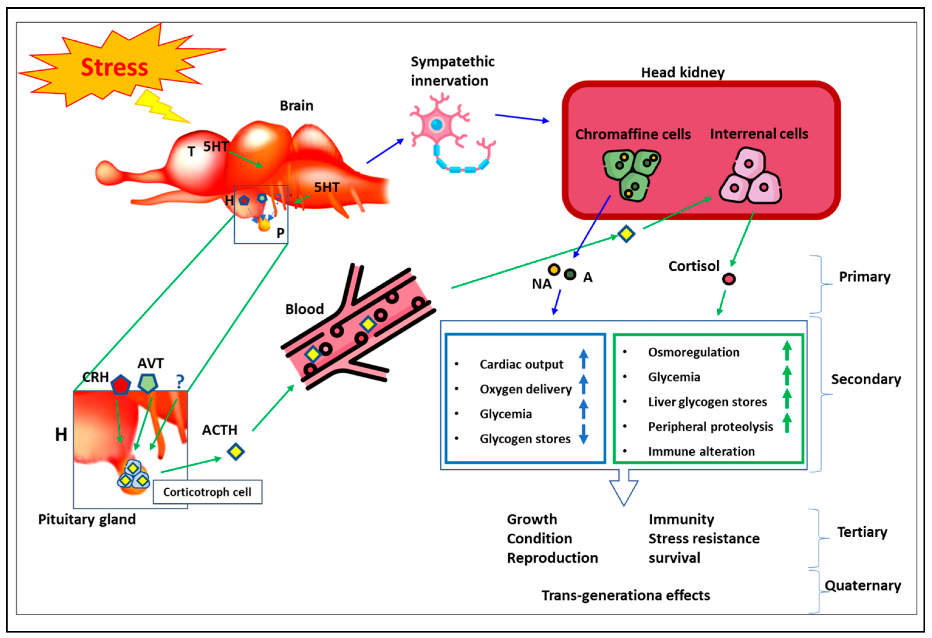 Fishes 08 00414 g002