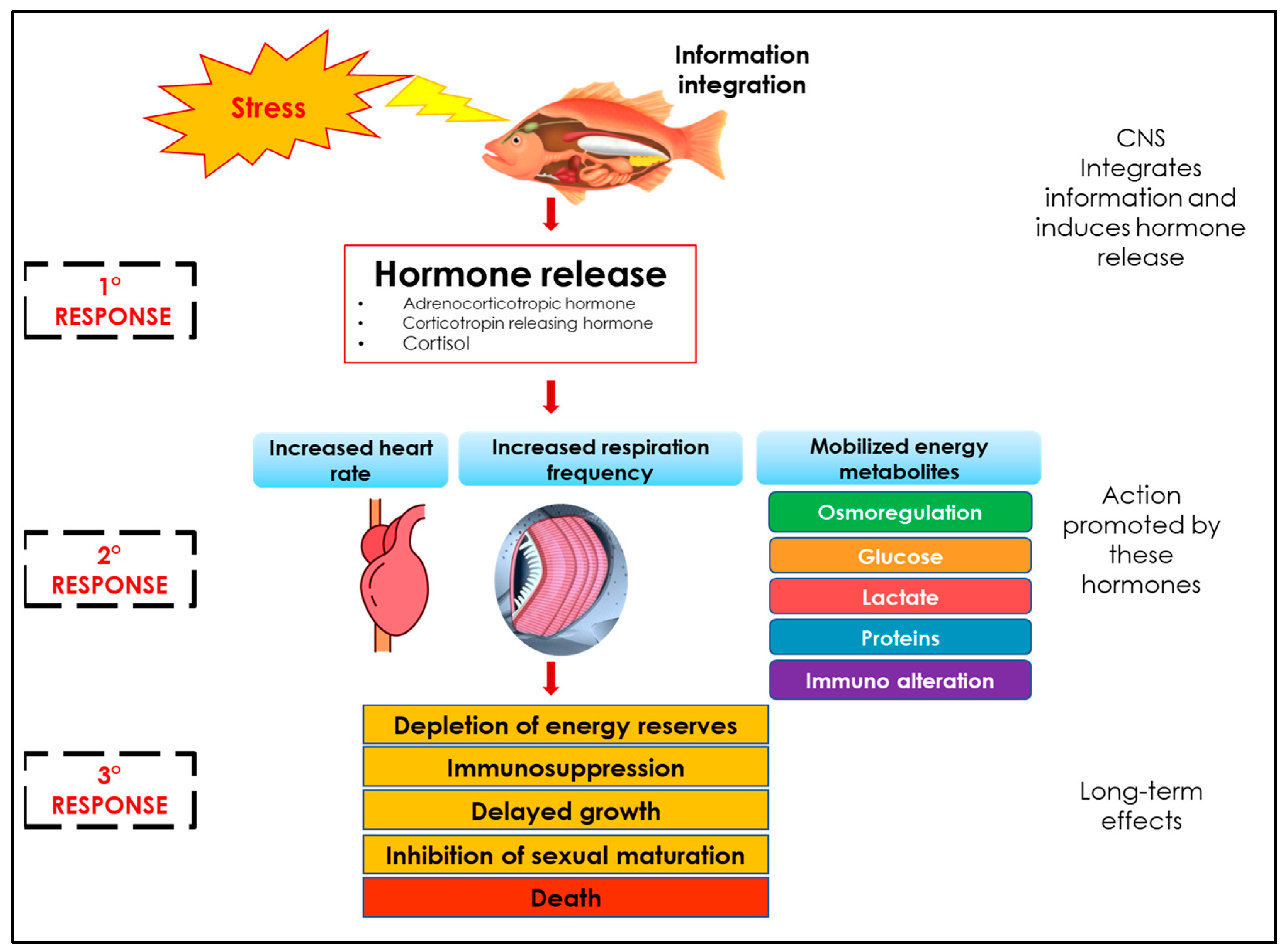 Fishes 08 00414 g003