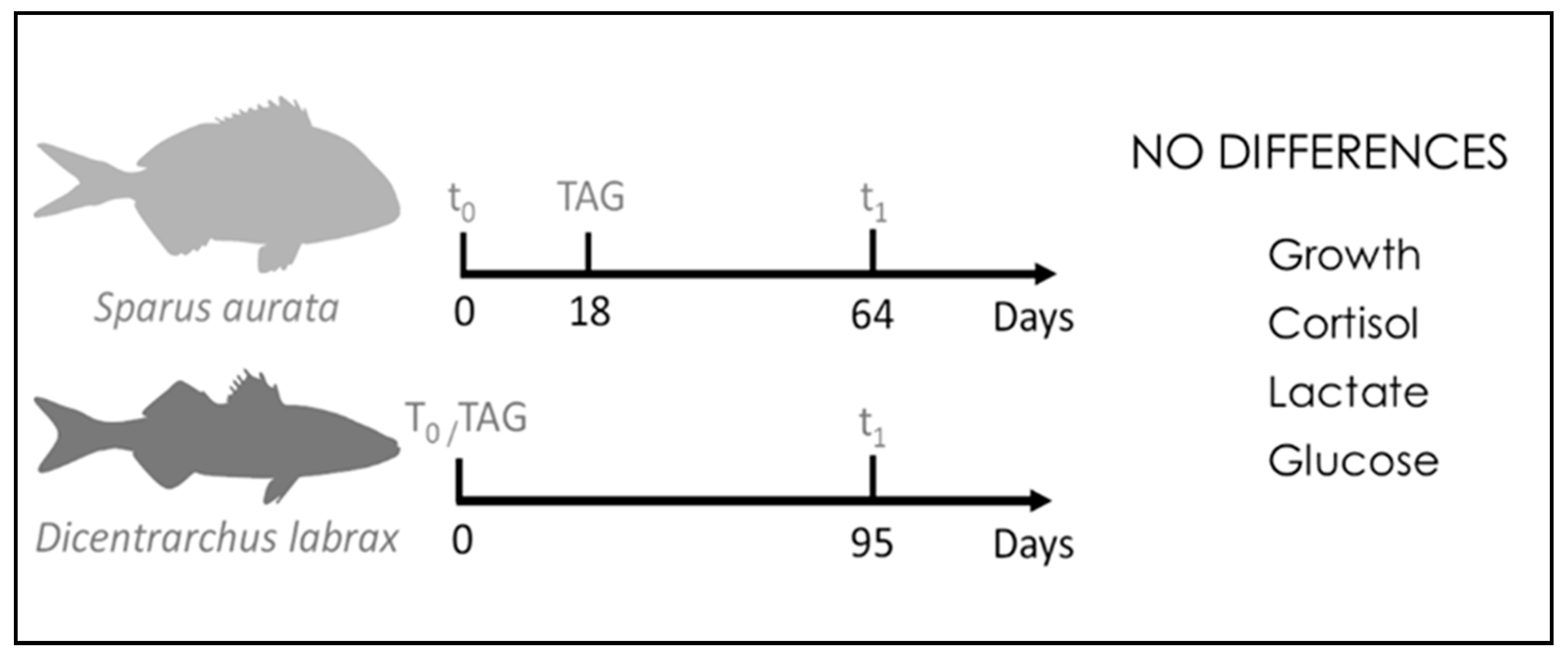 Fishes 08 00414 g008