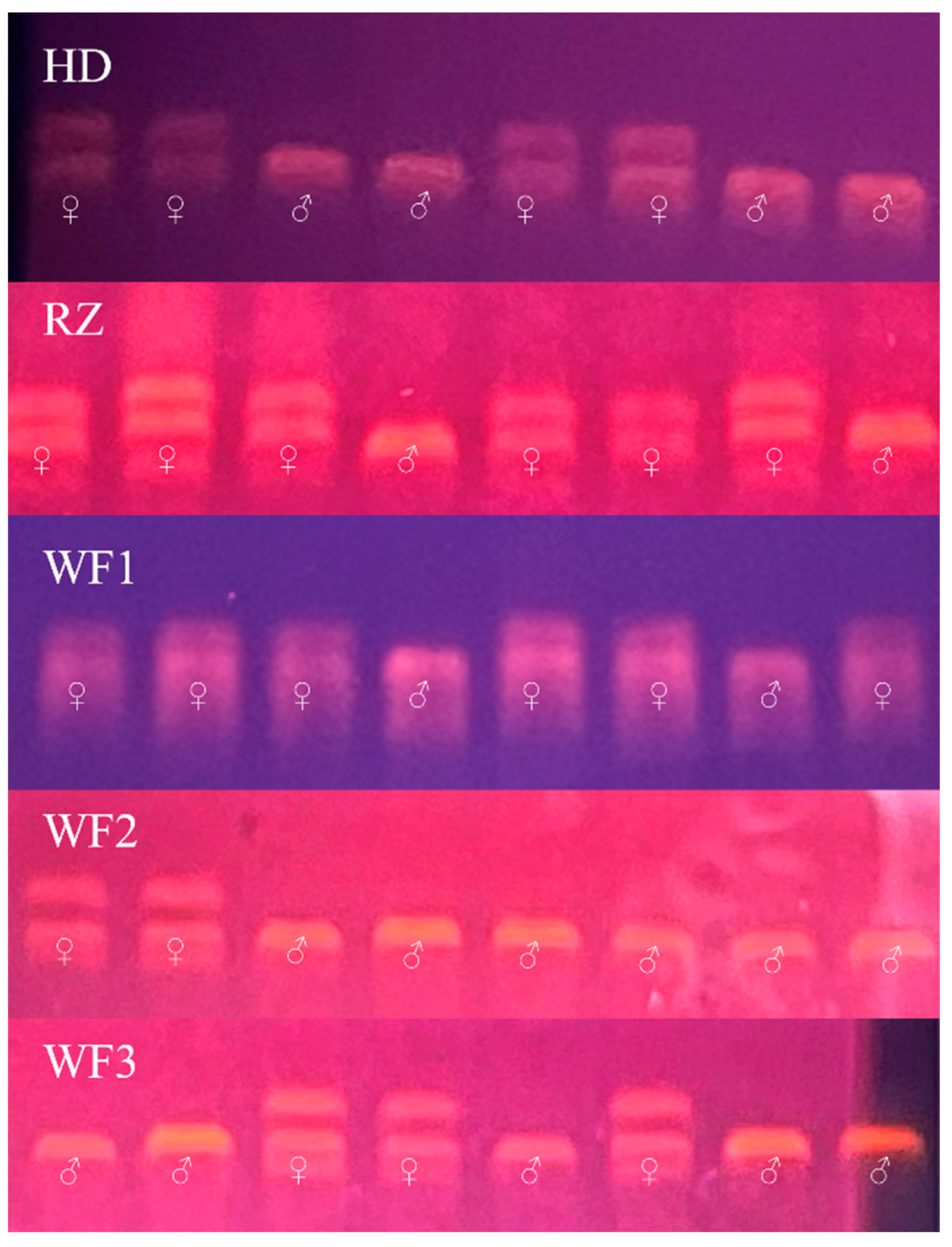 Fishes 08 00421 g001